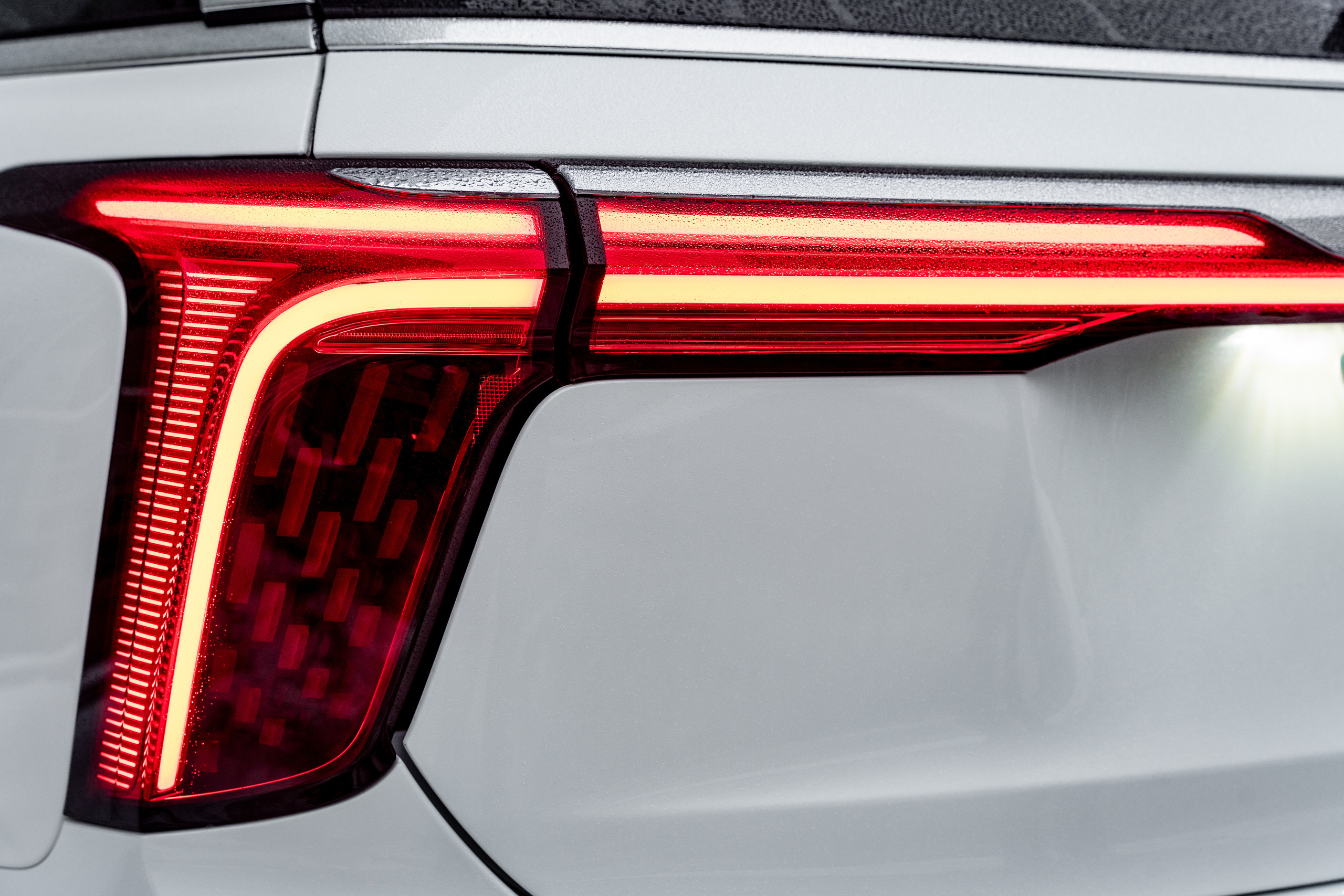 Hongqi E-HS9. Станислав Тюрин Фотограф Москва. Индивидуальные и семейные фотосессии;