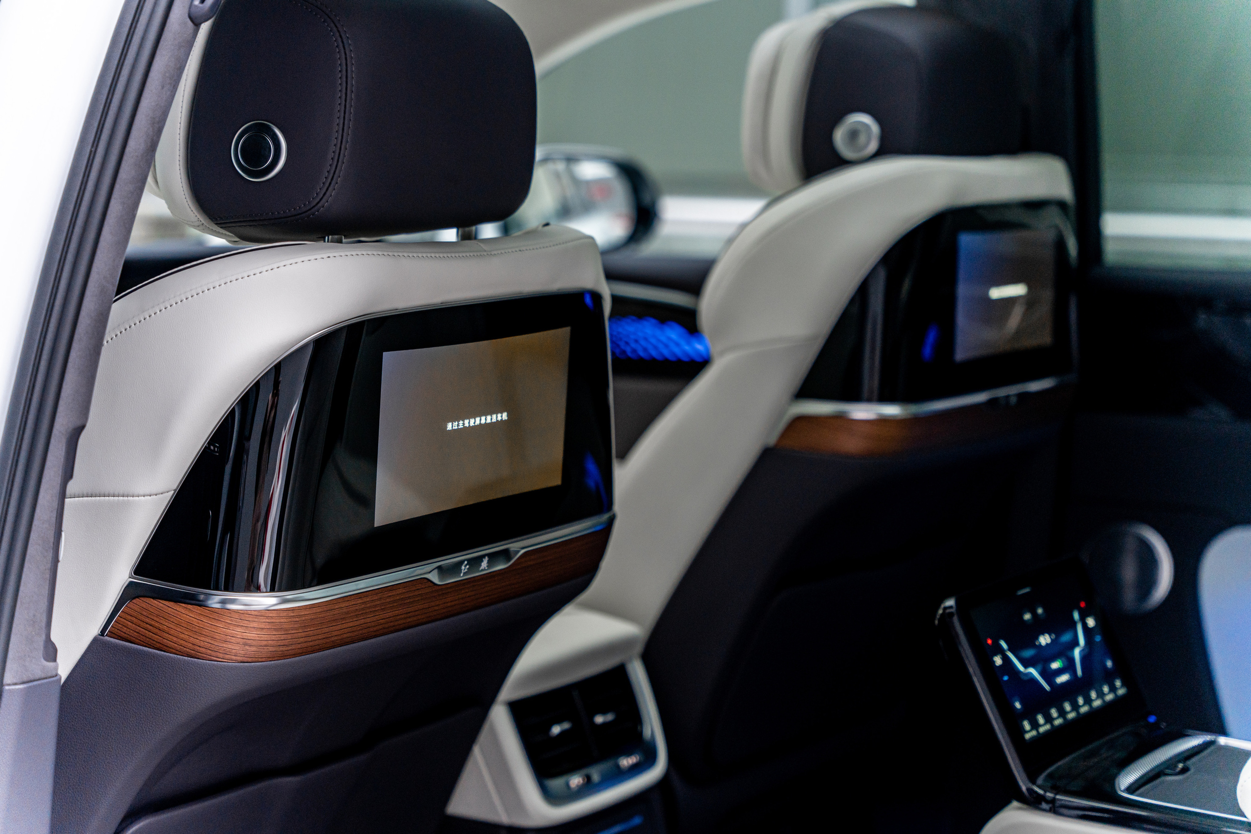 Hongqi E-HS9. Станислав Тюрин Фотограф Москва. Индивидуальные и семейные фотосессии;