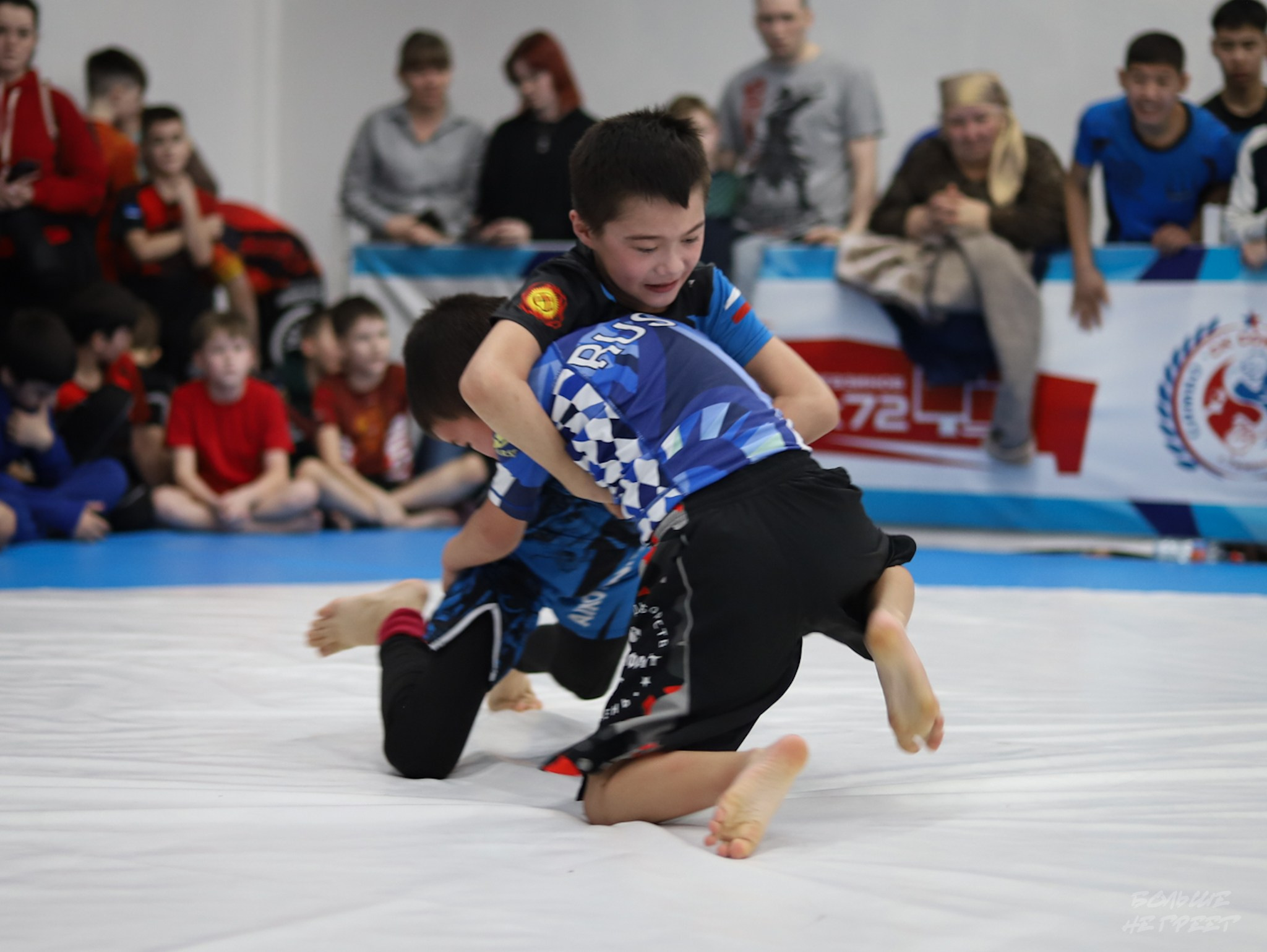 GORILLA PRIDE CUP. Больше не греет