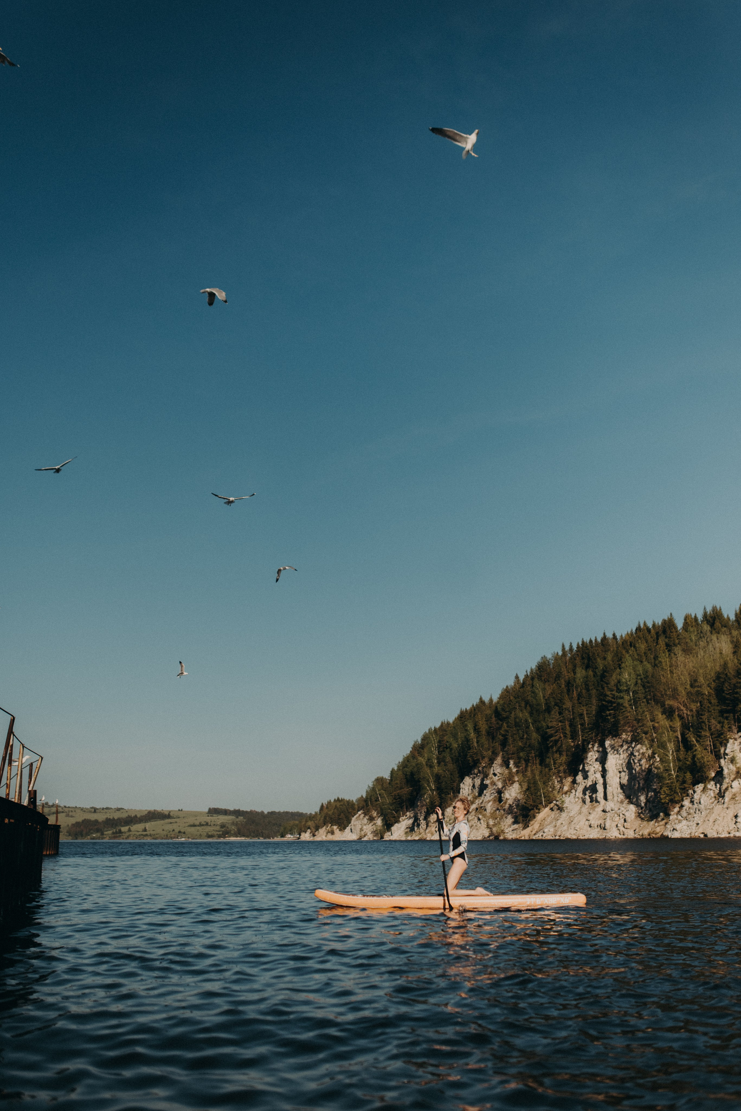 Шалаш среди леса. Главная