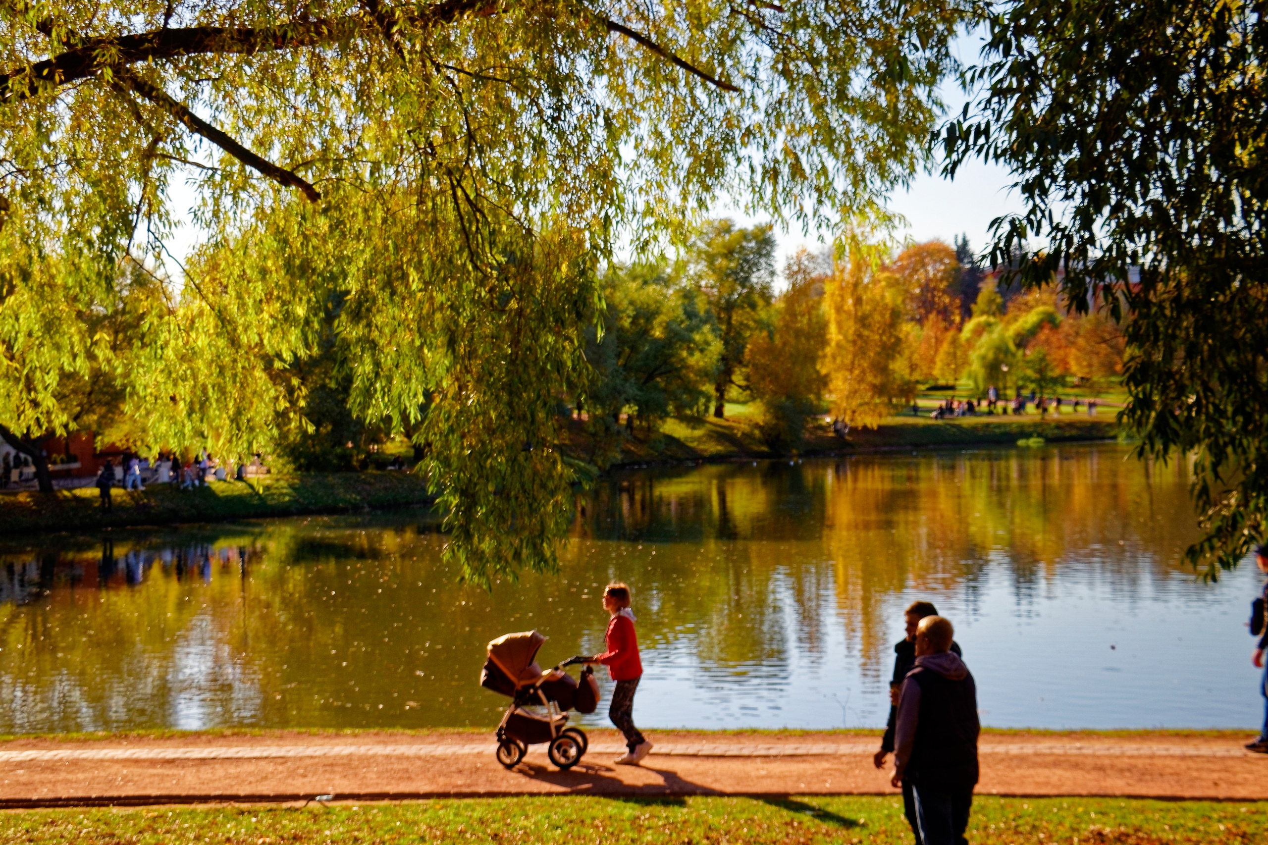 ЦАРИЦИНО. Фотограф Владимир Роля