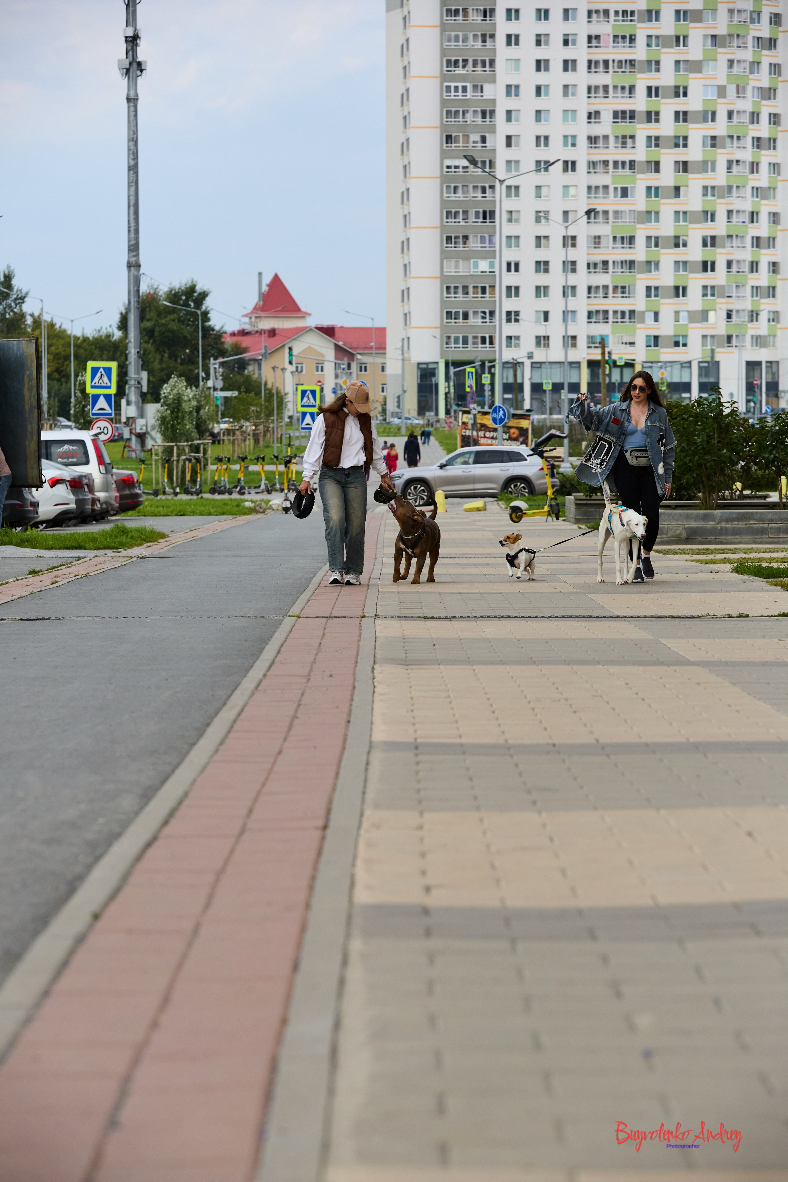 Проект фотопрогулка с хвостиком. Buyvolenko Andrey