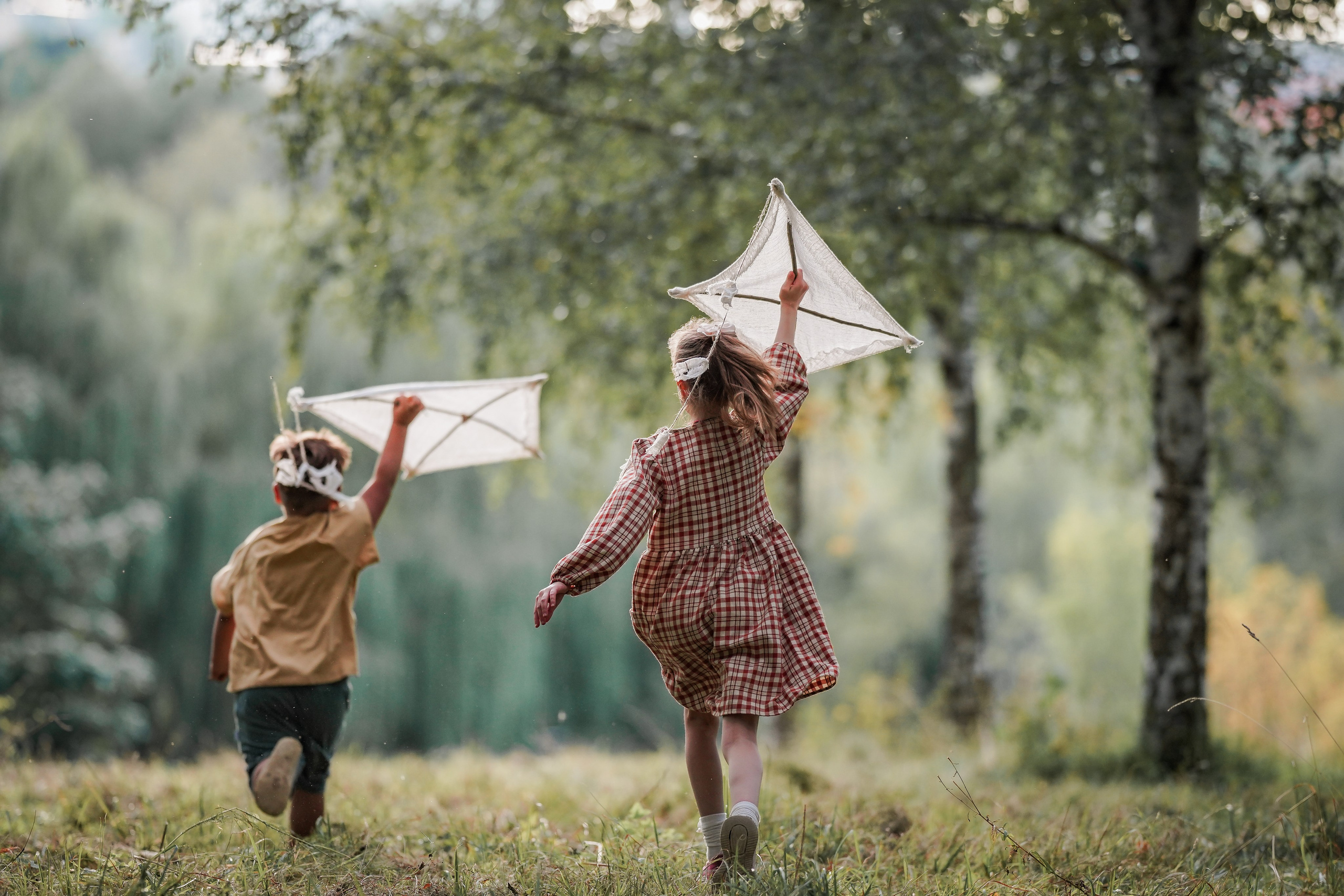Воздушный змей. Семейный фотограф Ефремова Виктория