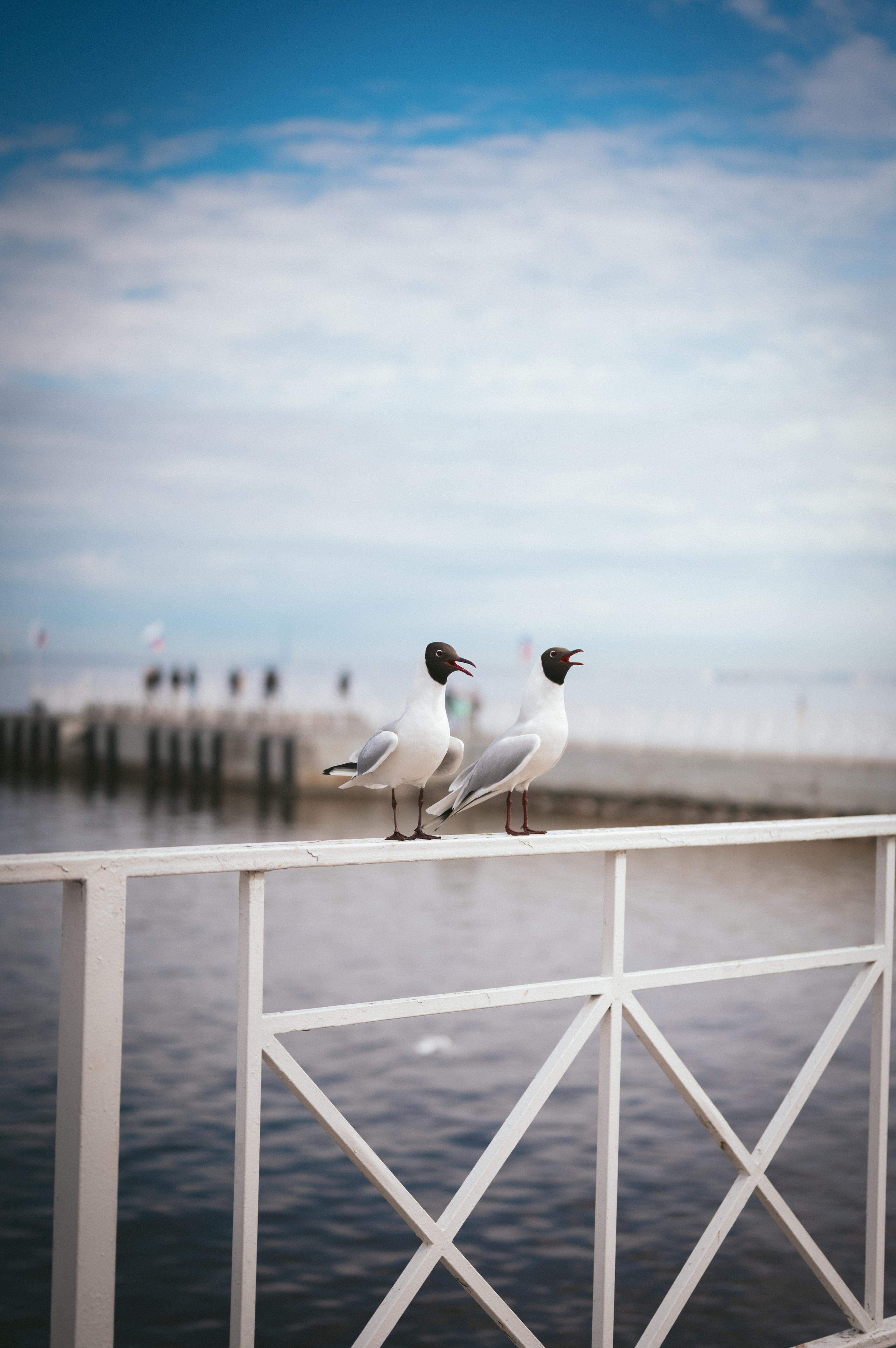 Мир вокруг. Фотограф Анна Темнова. Пенза