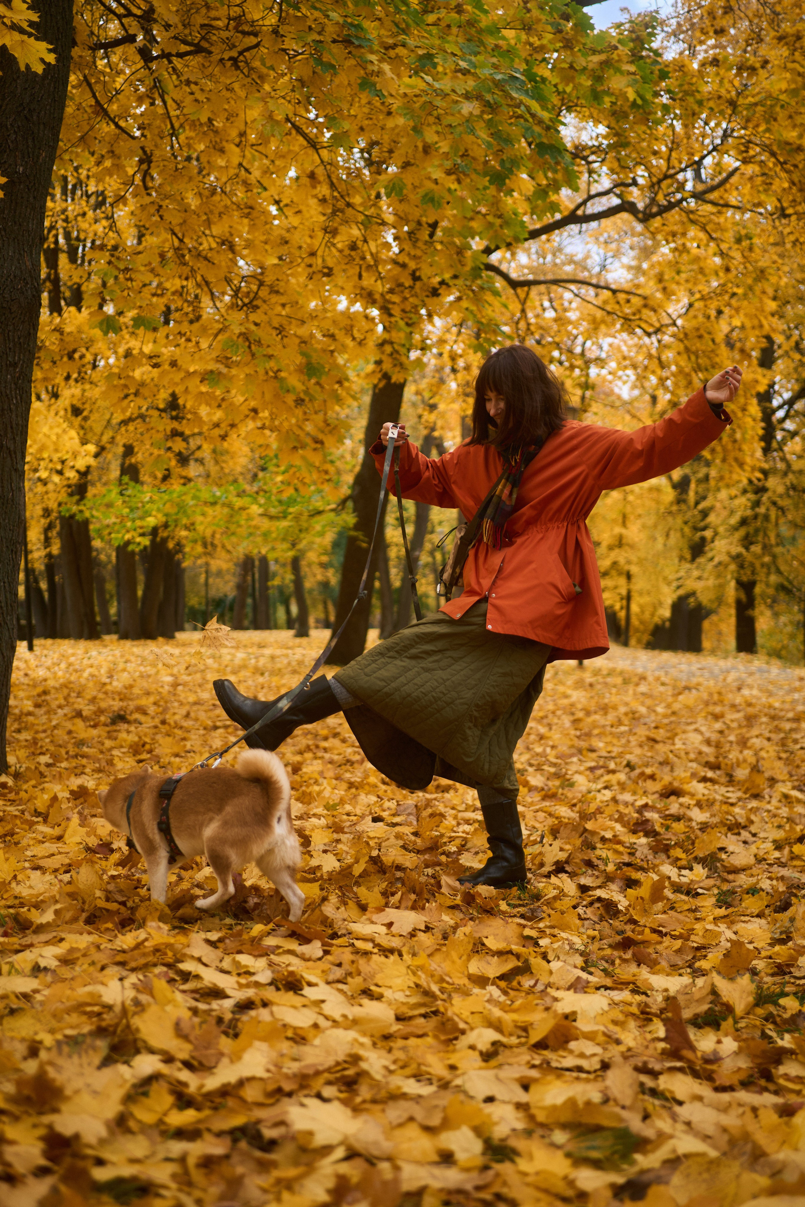 Осенние Уши. Фотограф анималист Москва Дарья