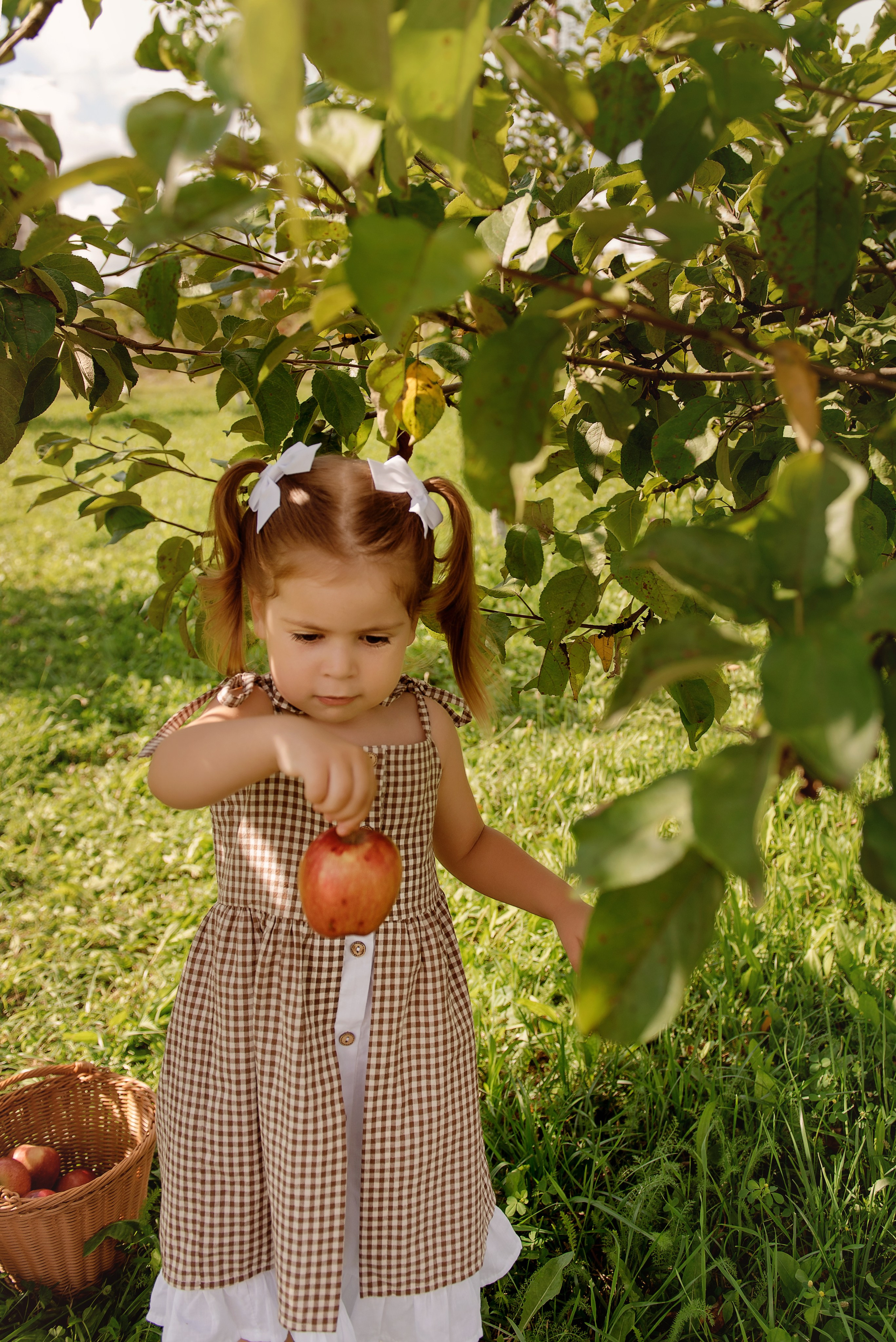 Яблоневый сад. Детский фотограф в Долгопрудном и Москве