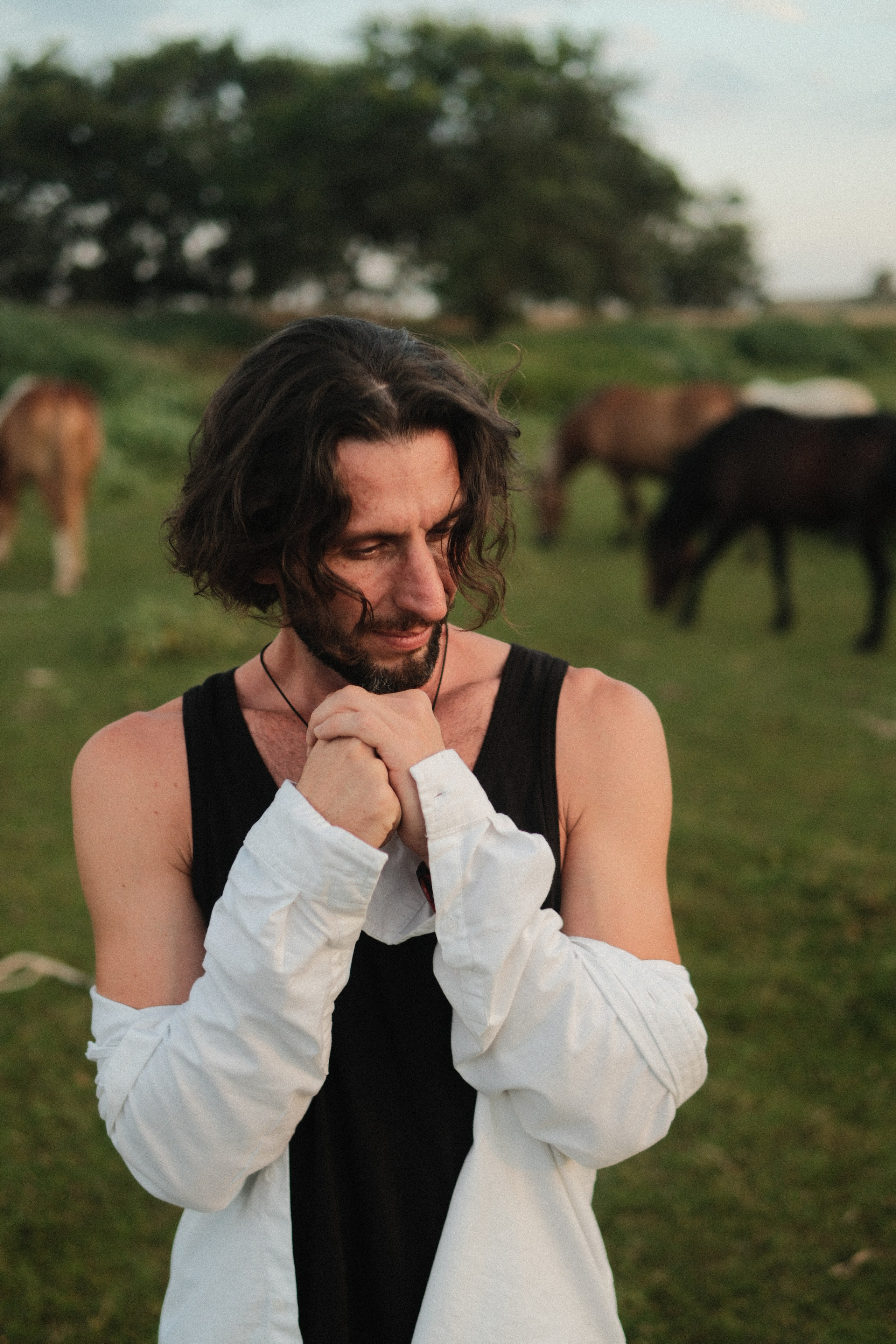 В поле с конём. Фотограф/Видеограф из Саратова