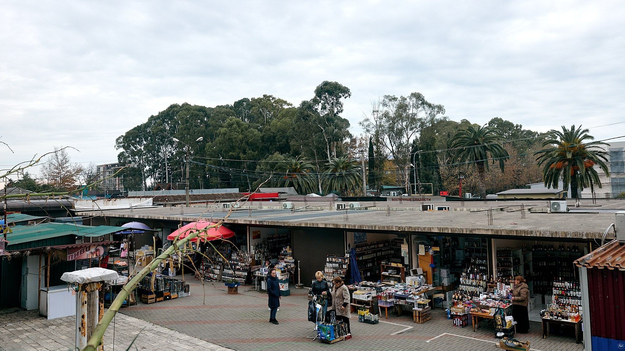 Гагра, Абхазия. Декабрь 2024. Фотографии отовсюду и обо всем