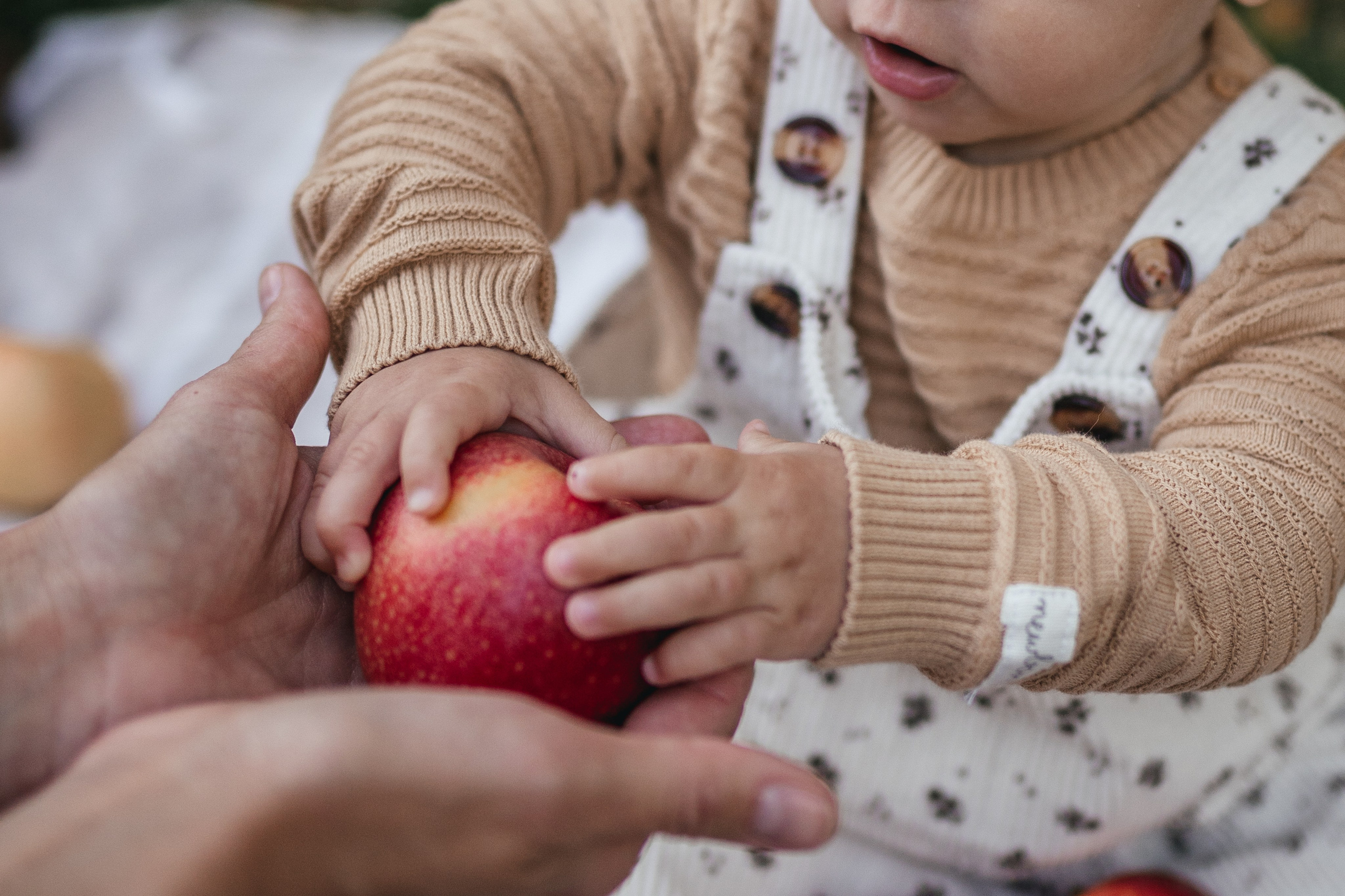Маленькая Арина. Семейный фотограф в Тюмени  Утенкова Юлия