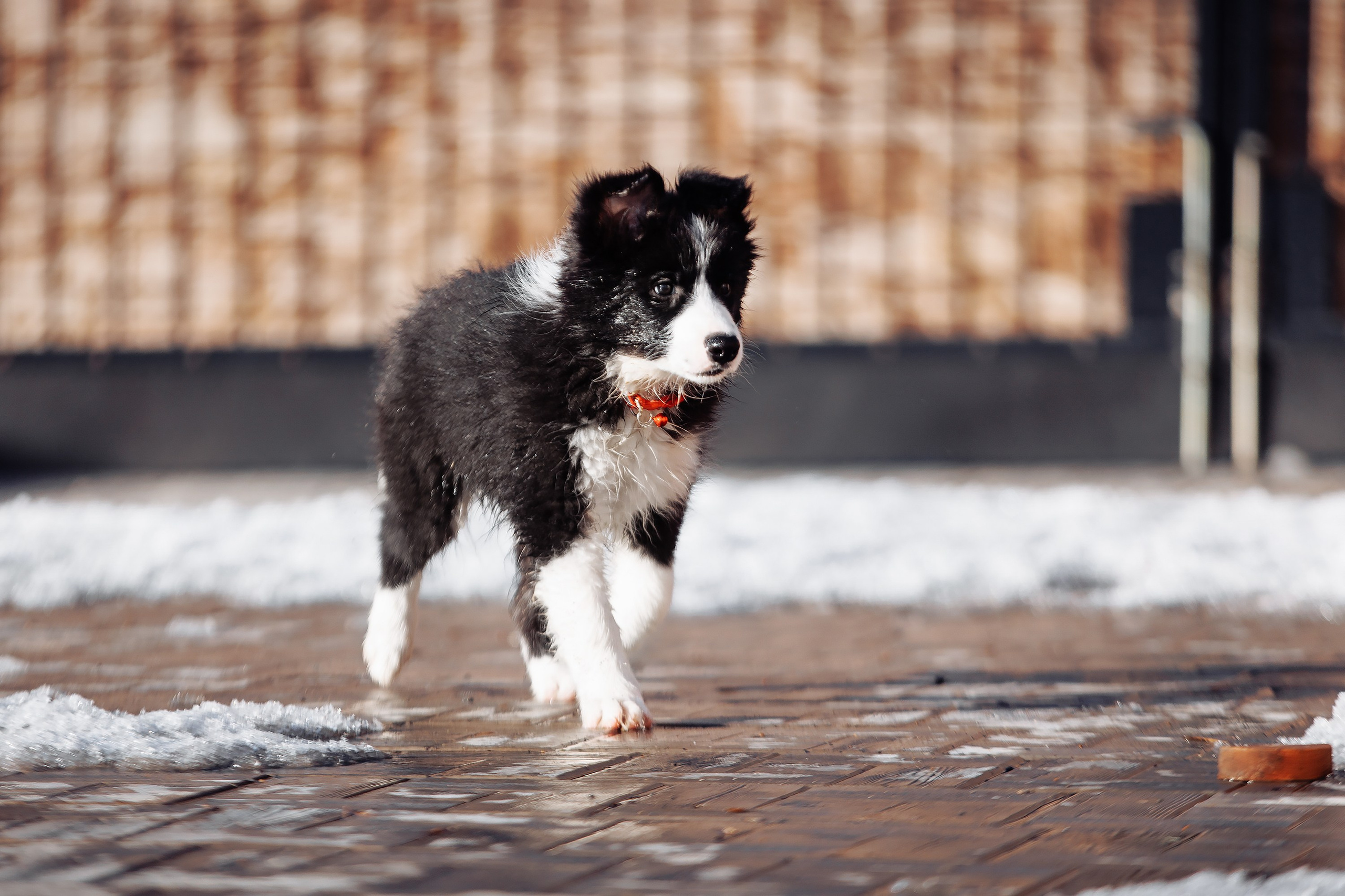 Пока таяло. О нас