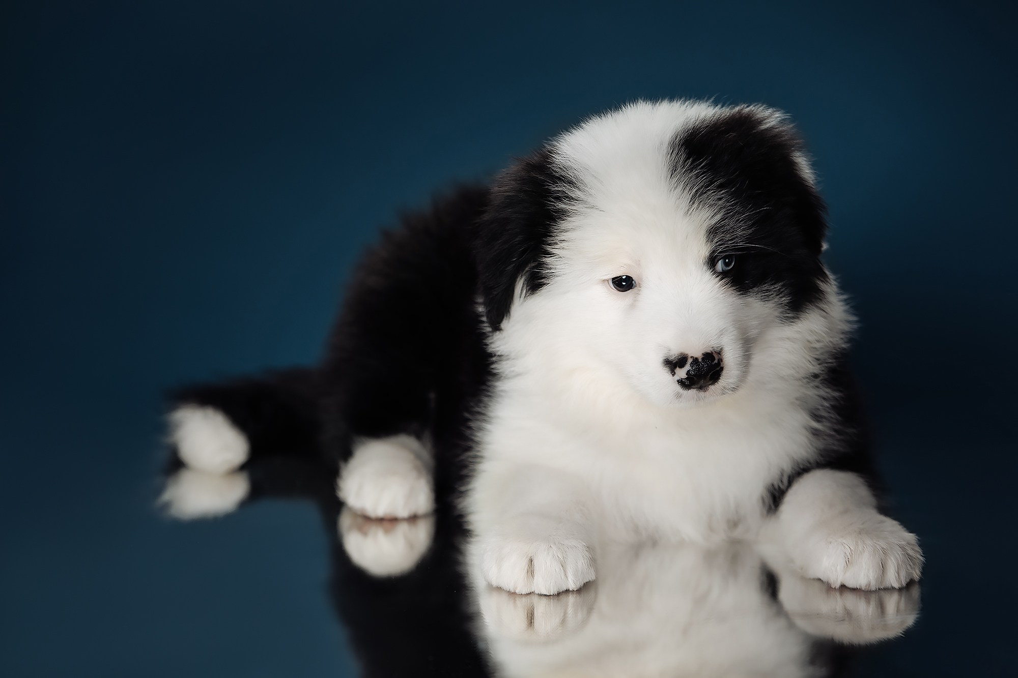 Синева. О нас