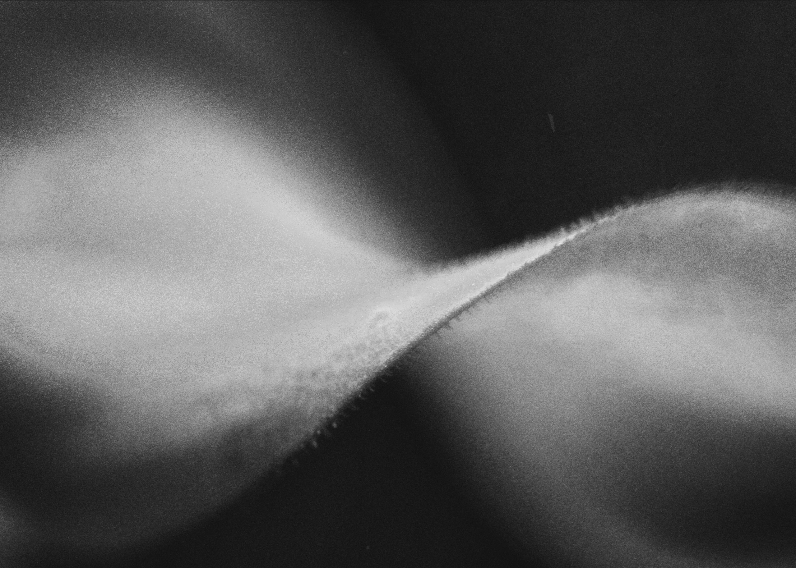 Film dairy. ㅤ