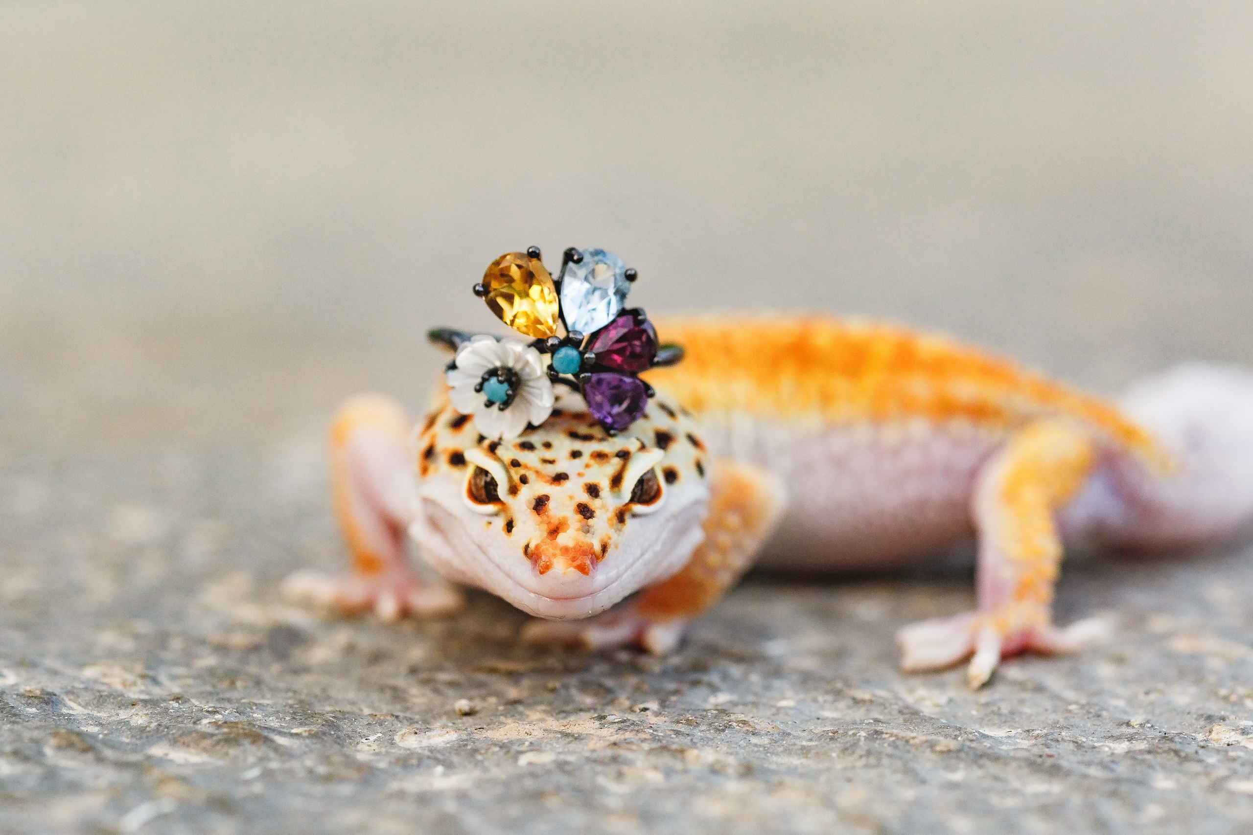 Королева драконов. Семейный фотограф в Екатеринбурге