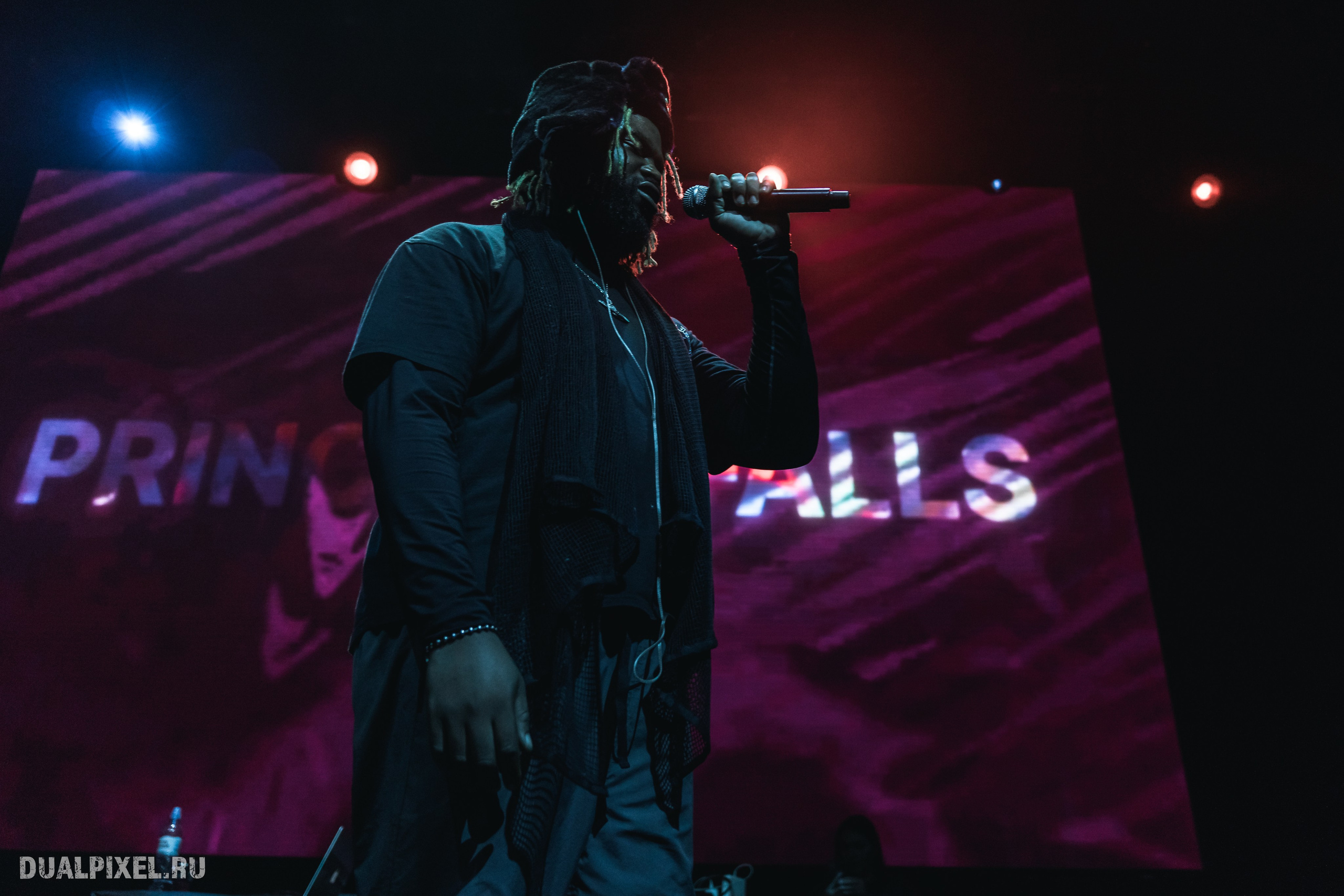 Prince Of Falls. Магия музыки в кадре: Концертная Фотография