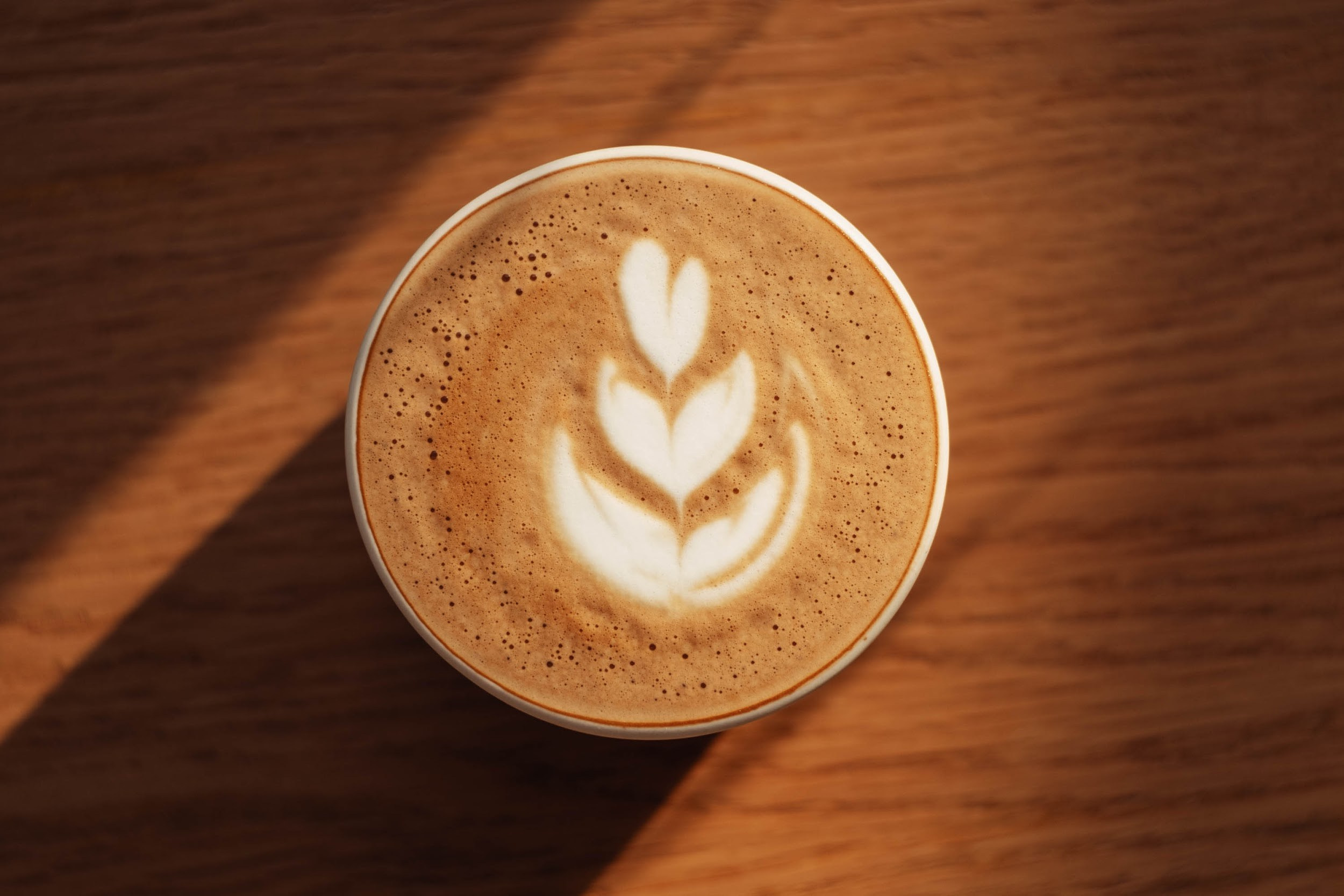 Мекка. Фуд-фотограф в Москве | Профессиональная съемка блюд и еды | Горбачёв Виталий