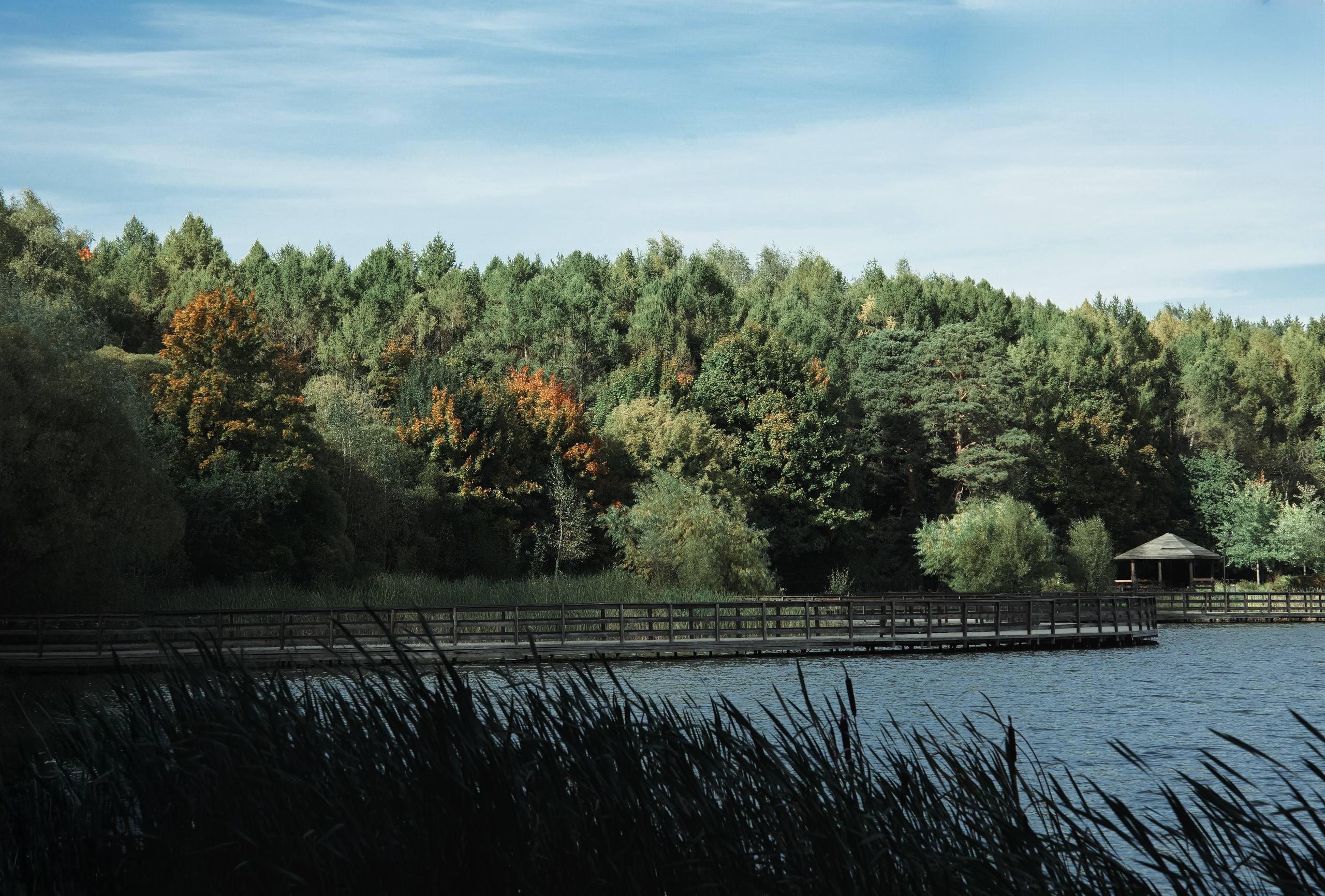 Осень 2025. Фотограф из Москвы — DASHA NOVA | Авторская фотография в разных жанрах