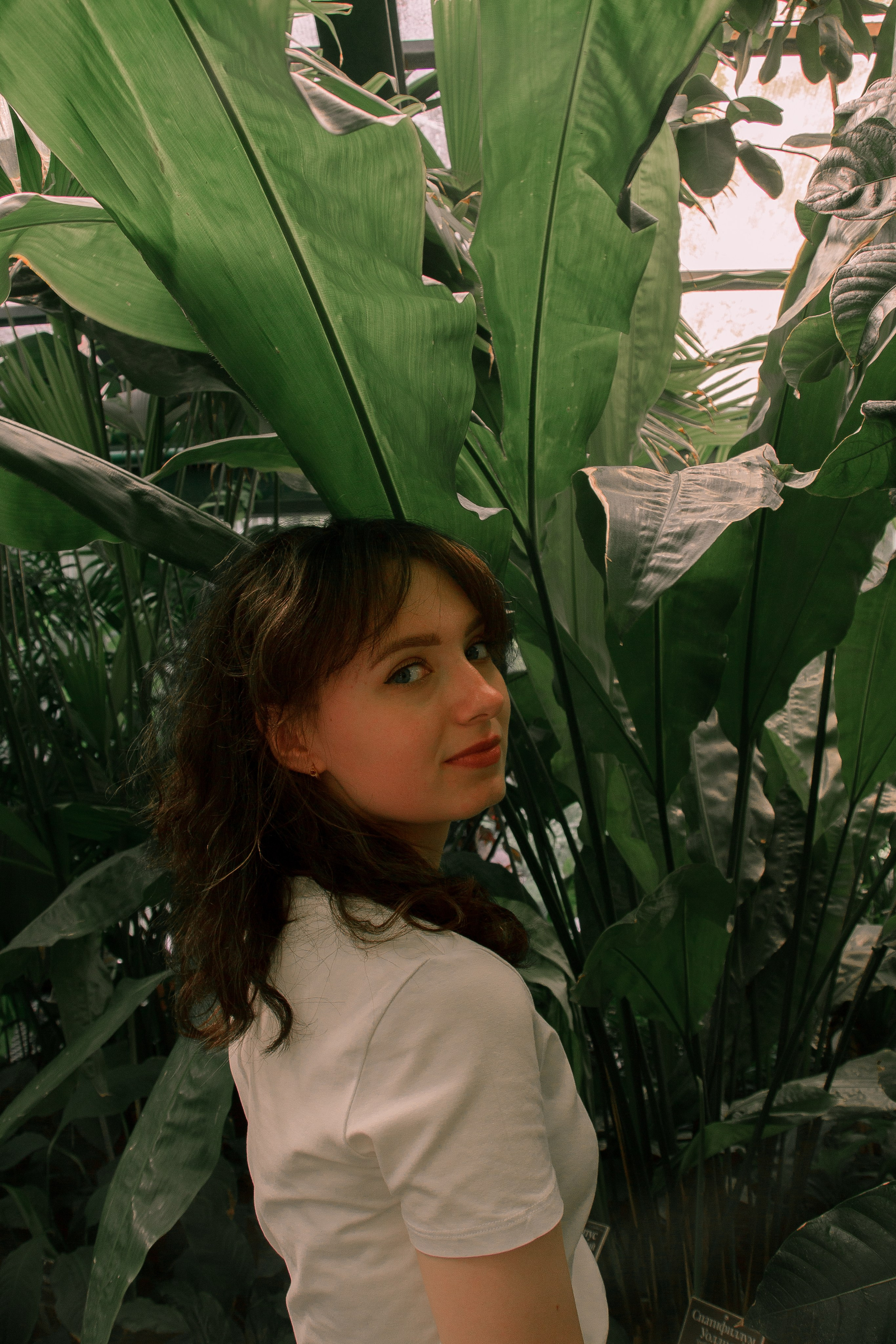 Уличная фотография. Виолетта —фотограф вашей жизни, Солнечногорск и Клин