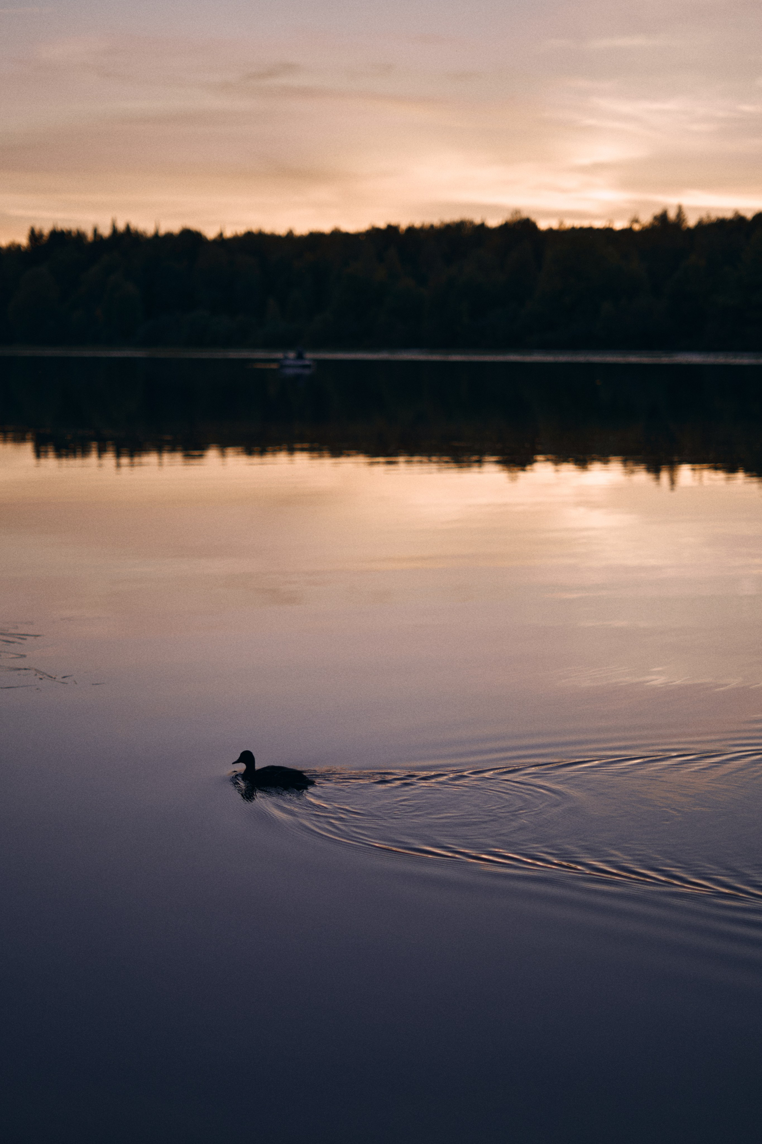 Влада. Фотограф Киров Анжелика Некрасова