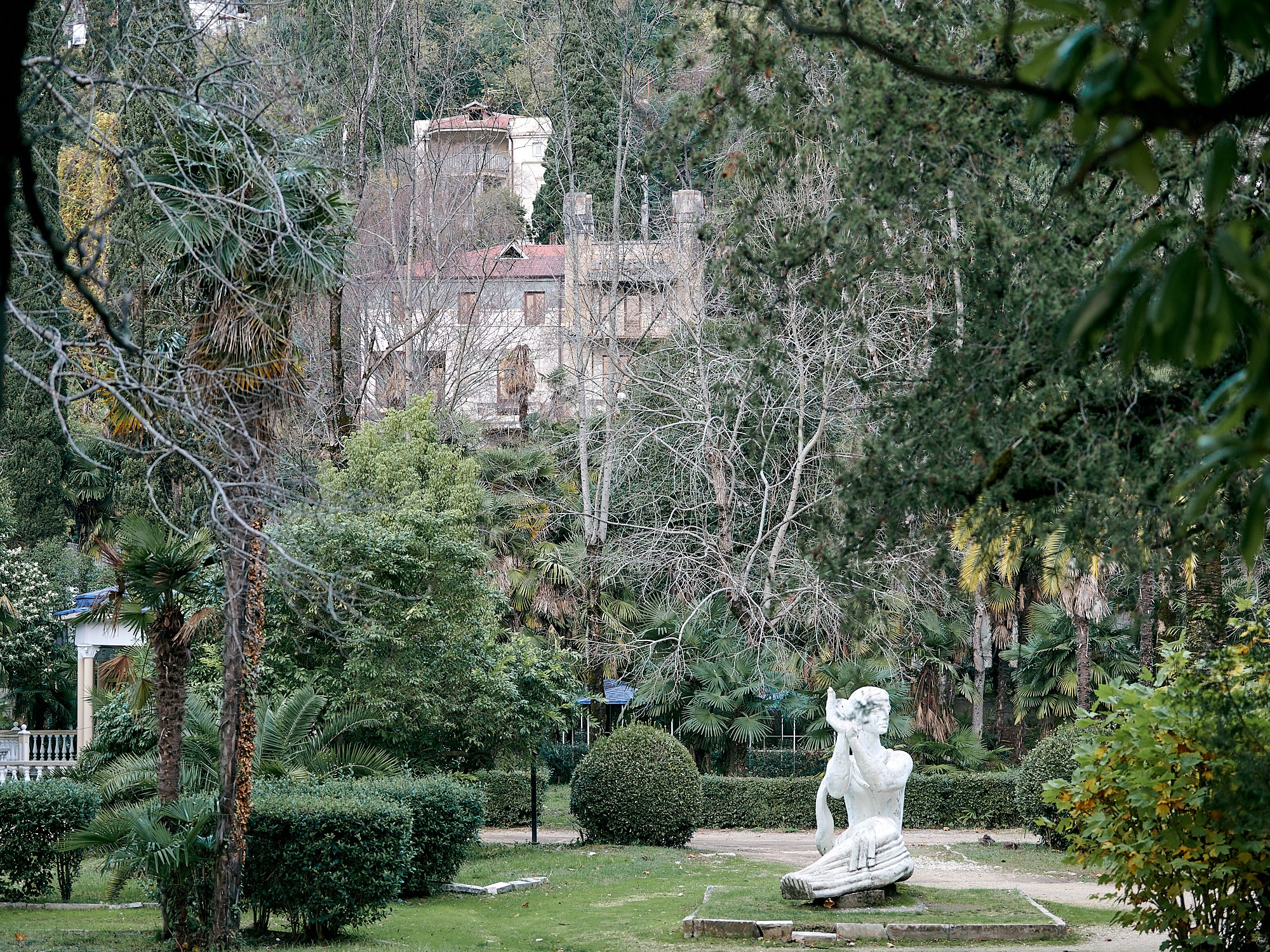 Гагра, Абхазия. Декабрь 2024. Фотографии отовсюду и обо всем