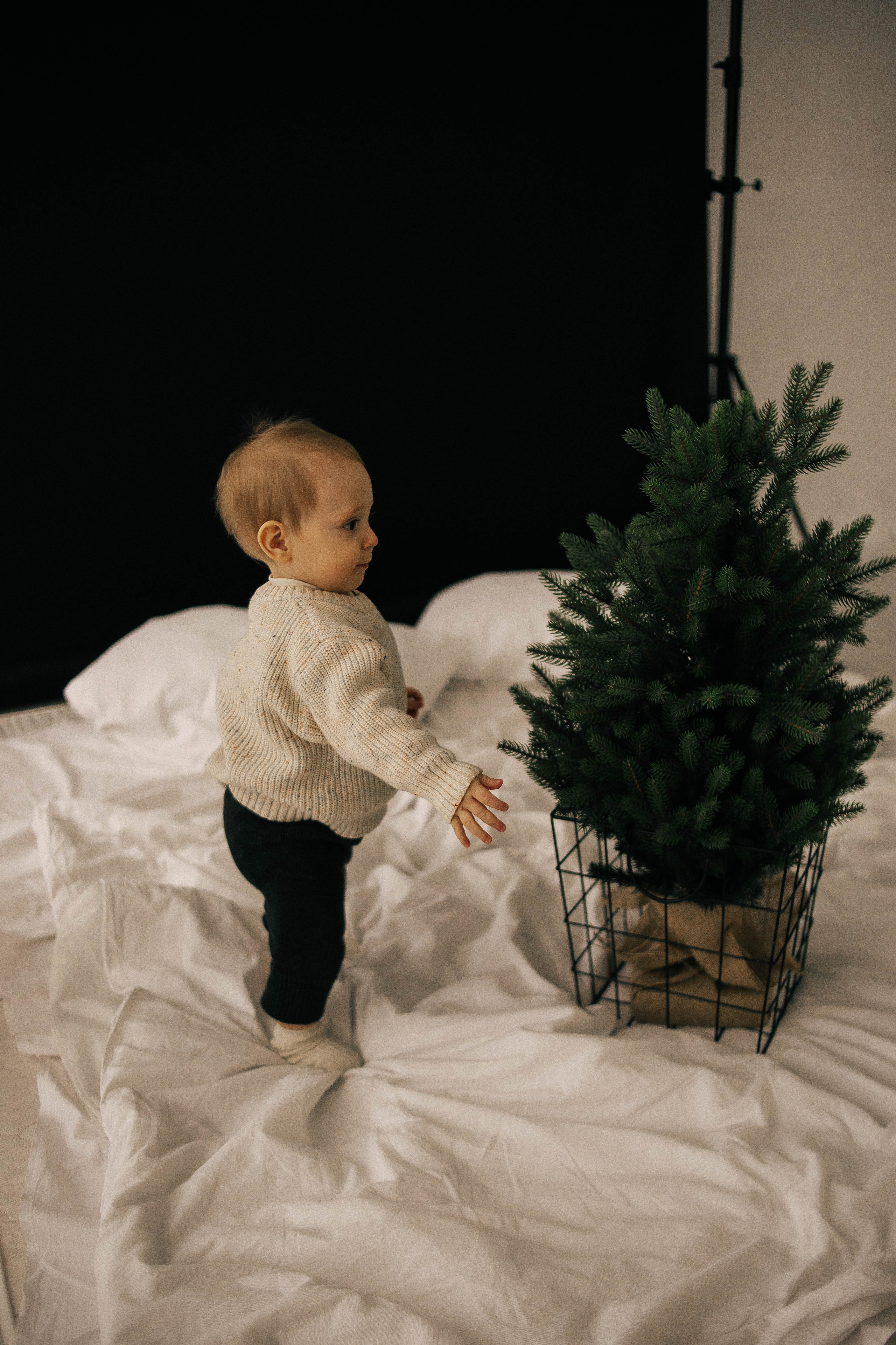 Аня, Сережа и Лешенька. Главная