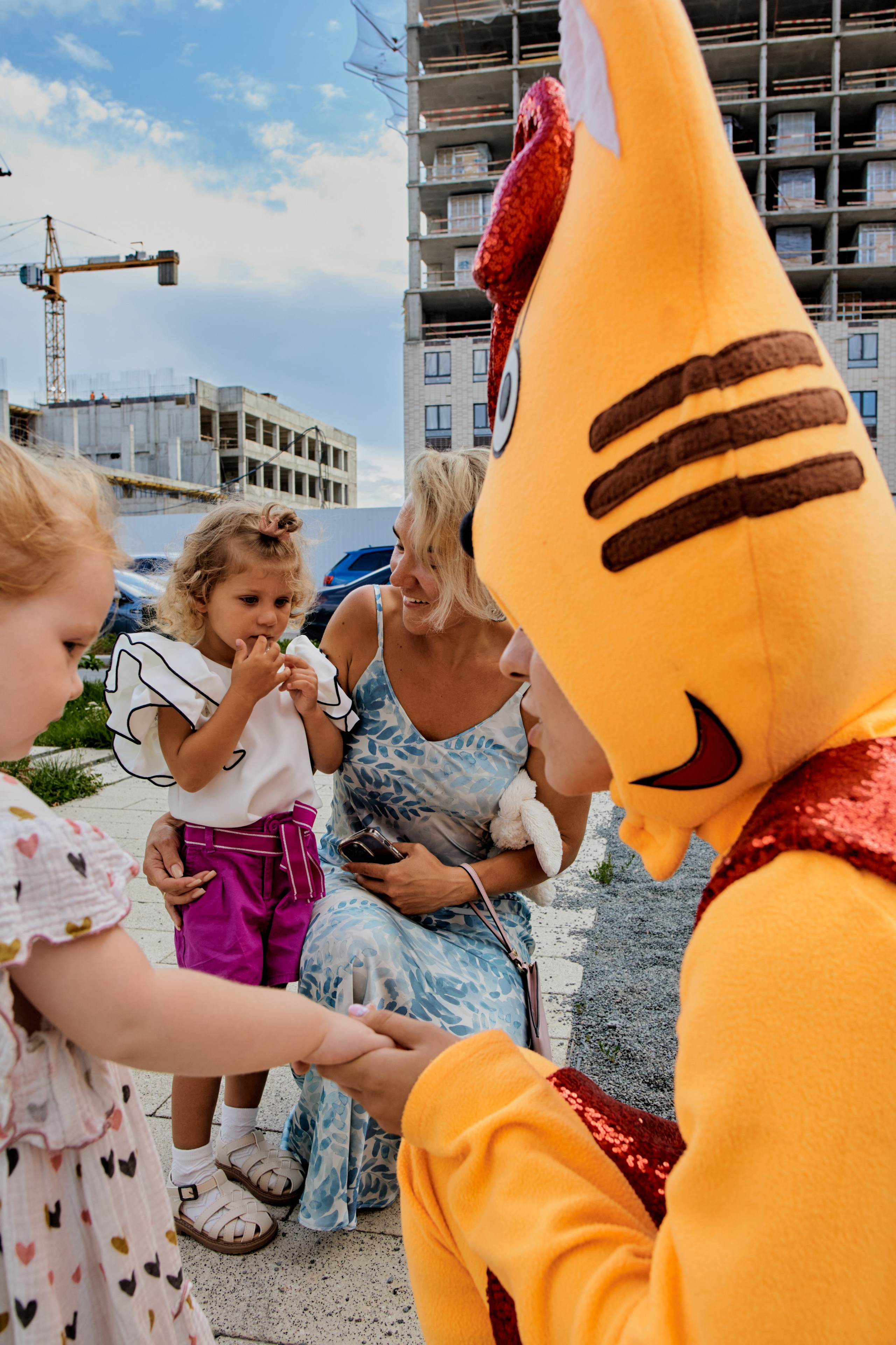 Три кота. Фотограф Москва