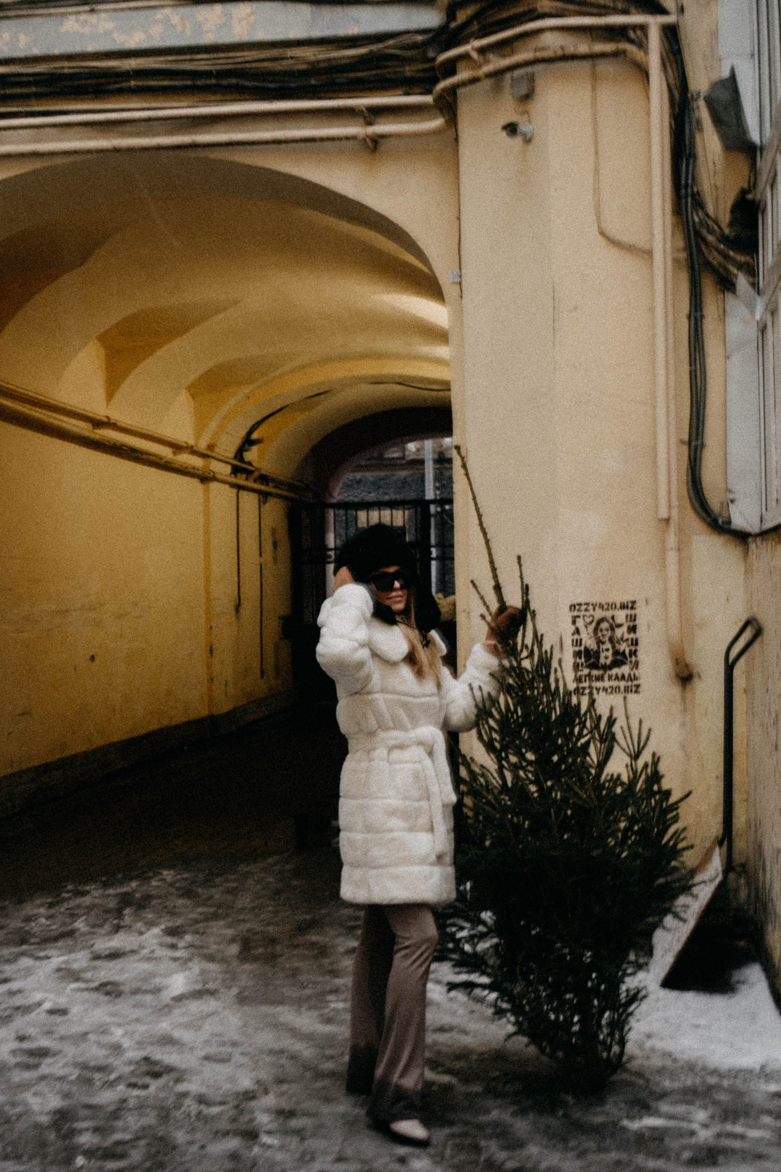 Новогодняя. Профессиональный фотограф, Санкт-Петербург — Виктория Богомолова