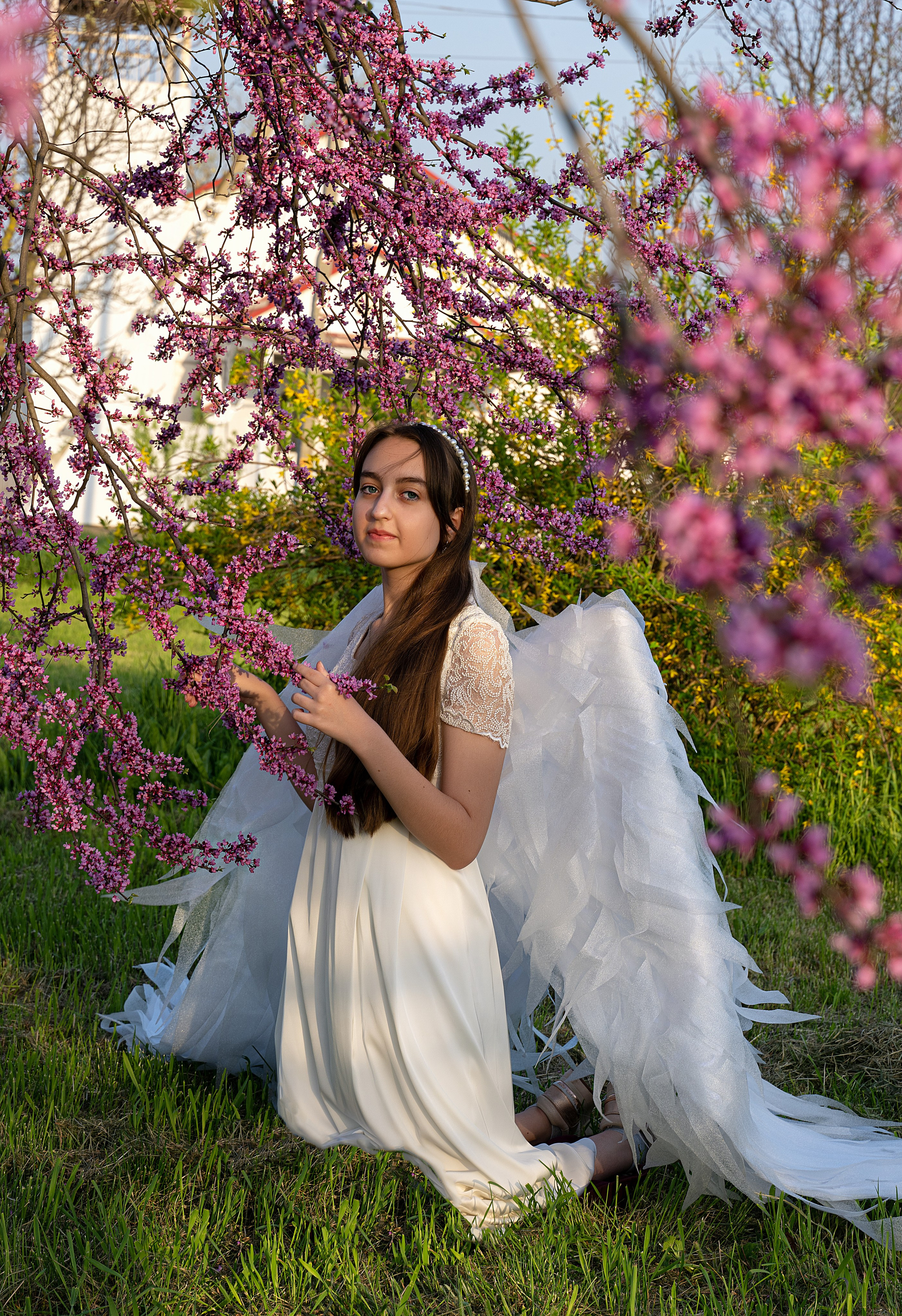 Крылатые истории. Главная