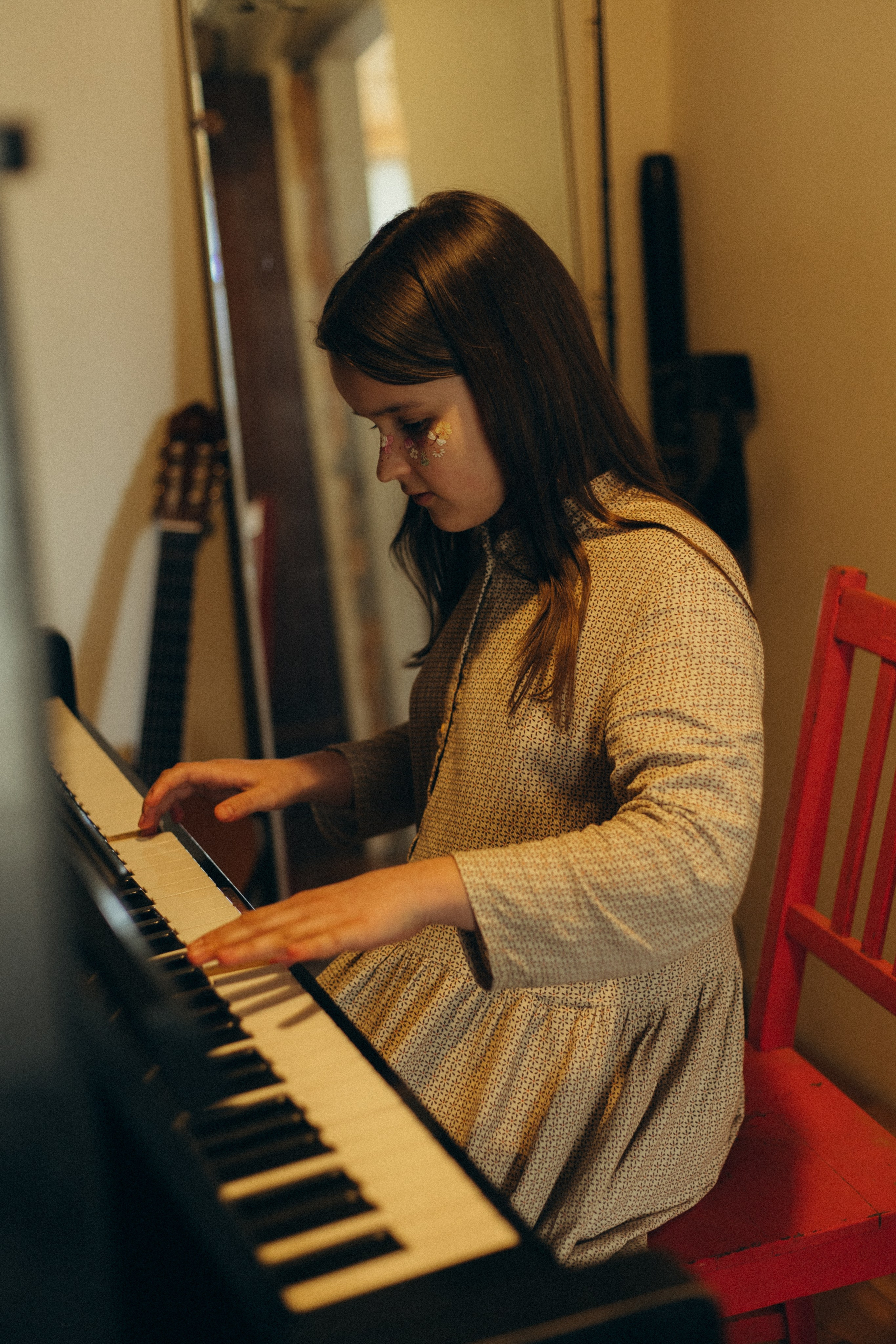 Домашняя история. Meryfotoidea