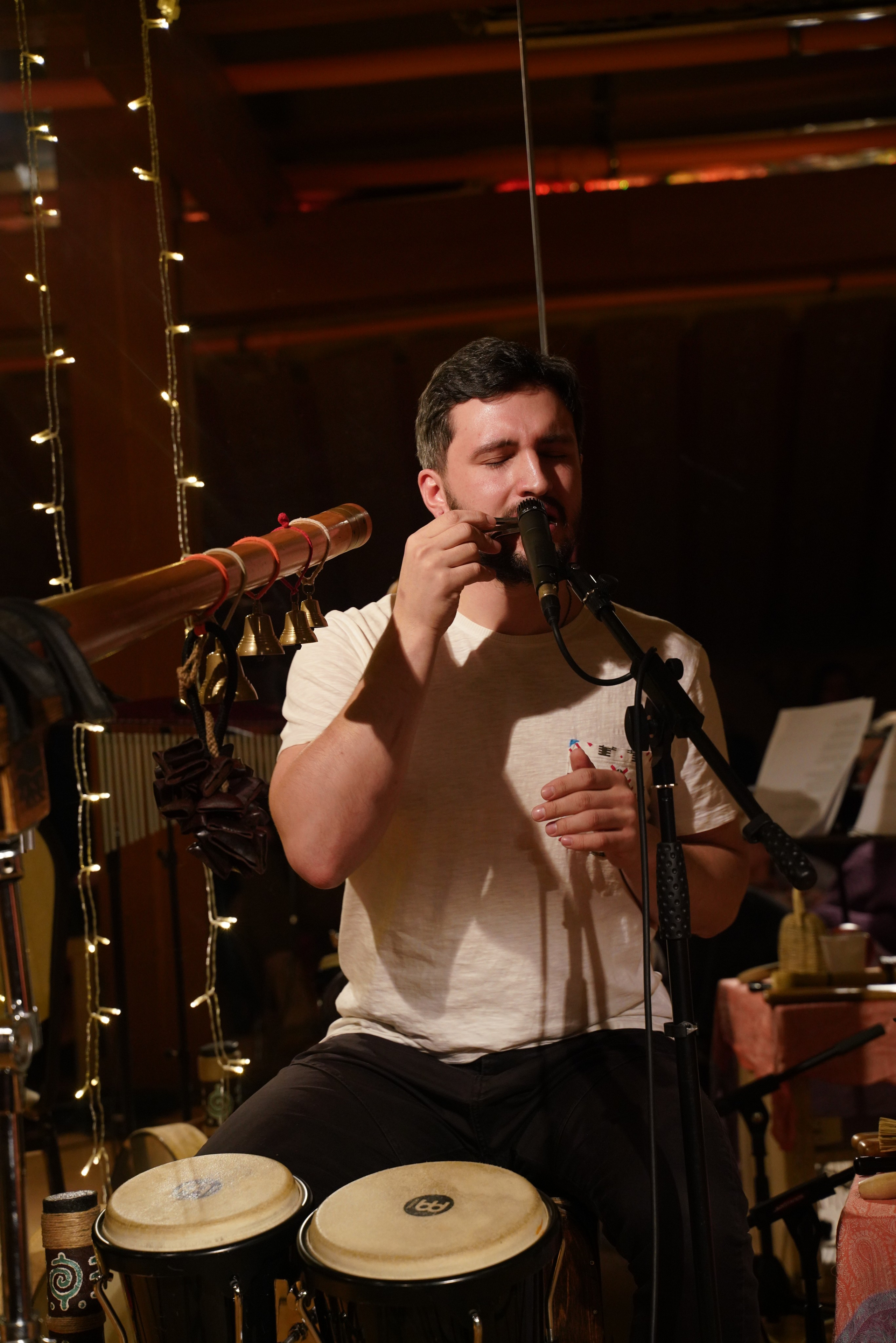 Концерт Forest jam project. Портретный и репортажный фотограф Наталья Горобец