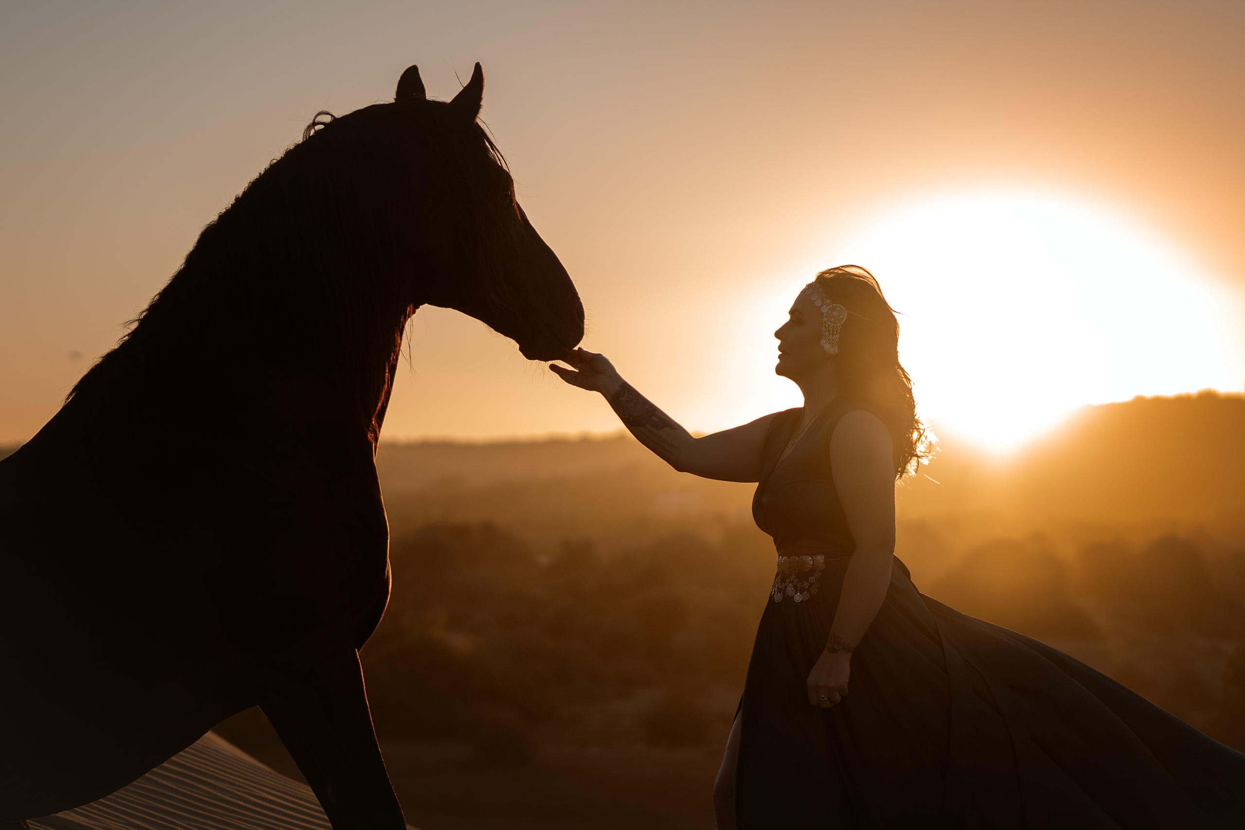 Фотосессии с лошадьми. Фотограф Артемьева Катерина|фотосессии с лошадьми