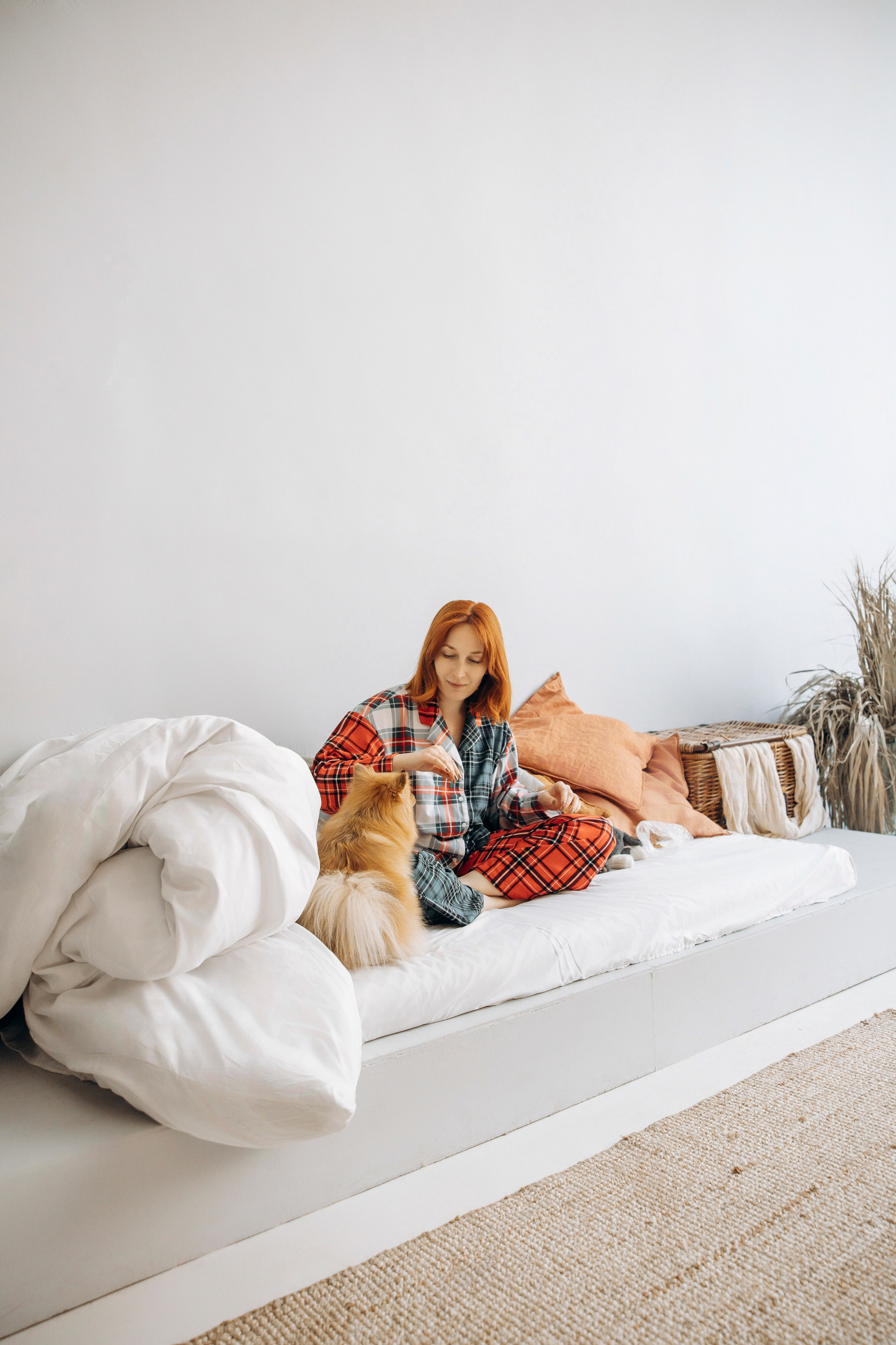 Съемка в студии с собакой. Анастасия Белаш