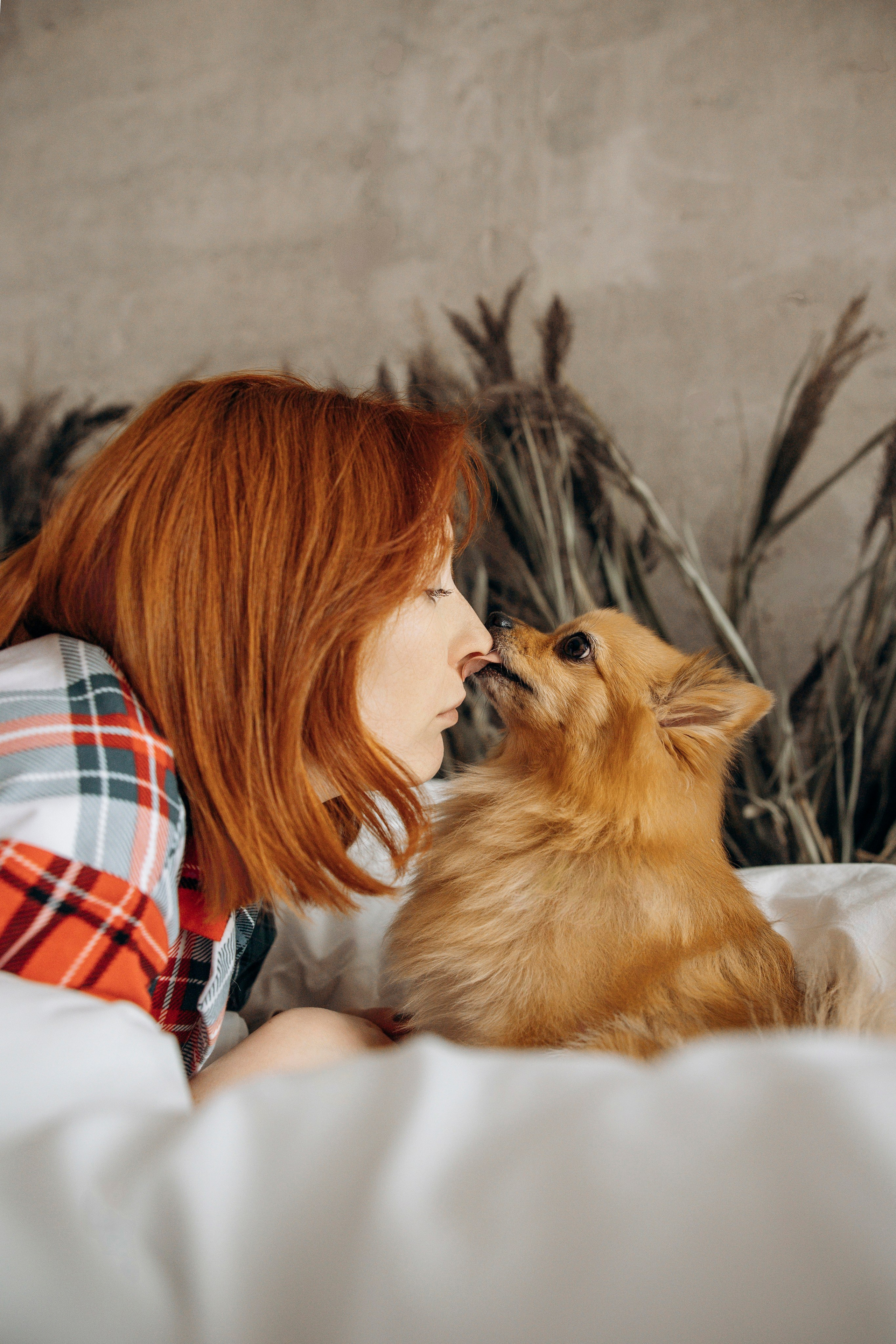 Съемка в студии с собакой. Анастасия Белаш