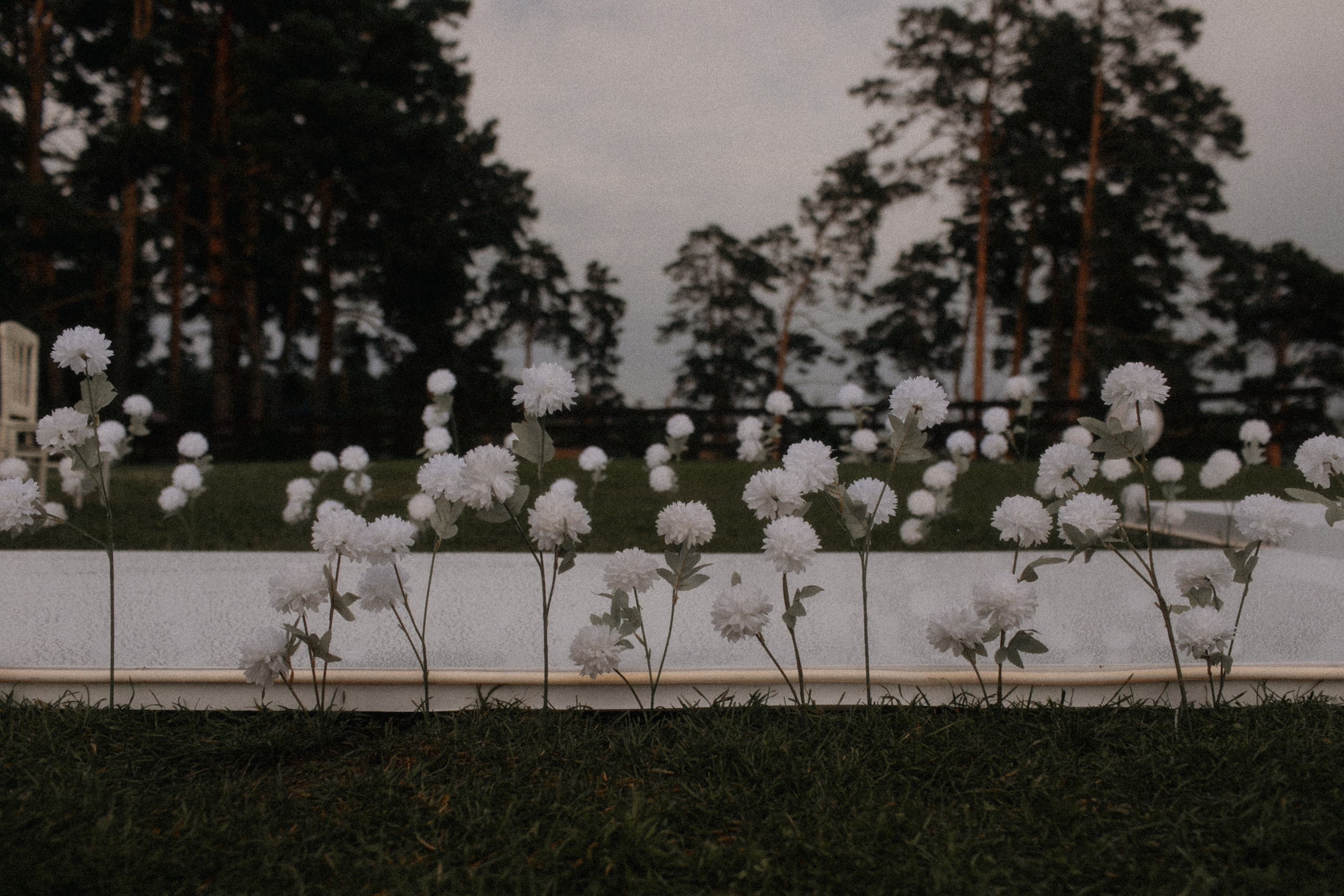 Николай и Елена. Свадебный фотограф Артак Костанян