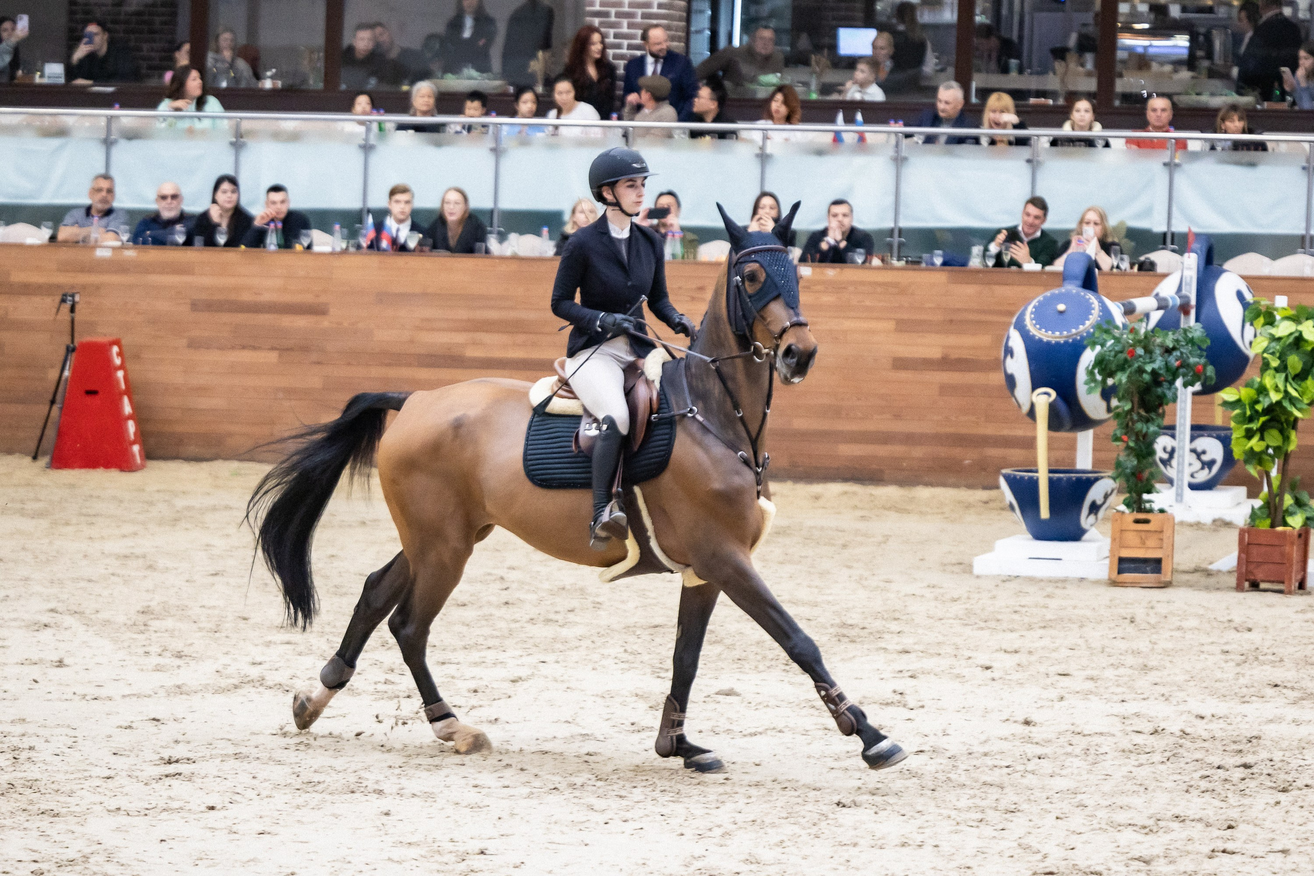 Кубок Кремля по Конкуру 12.04.25. Фотограф Владимир Охрименко