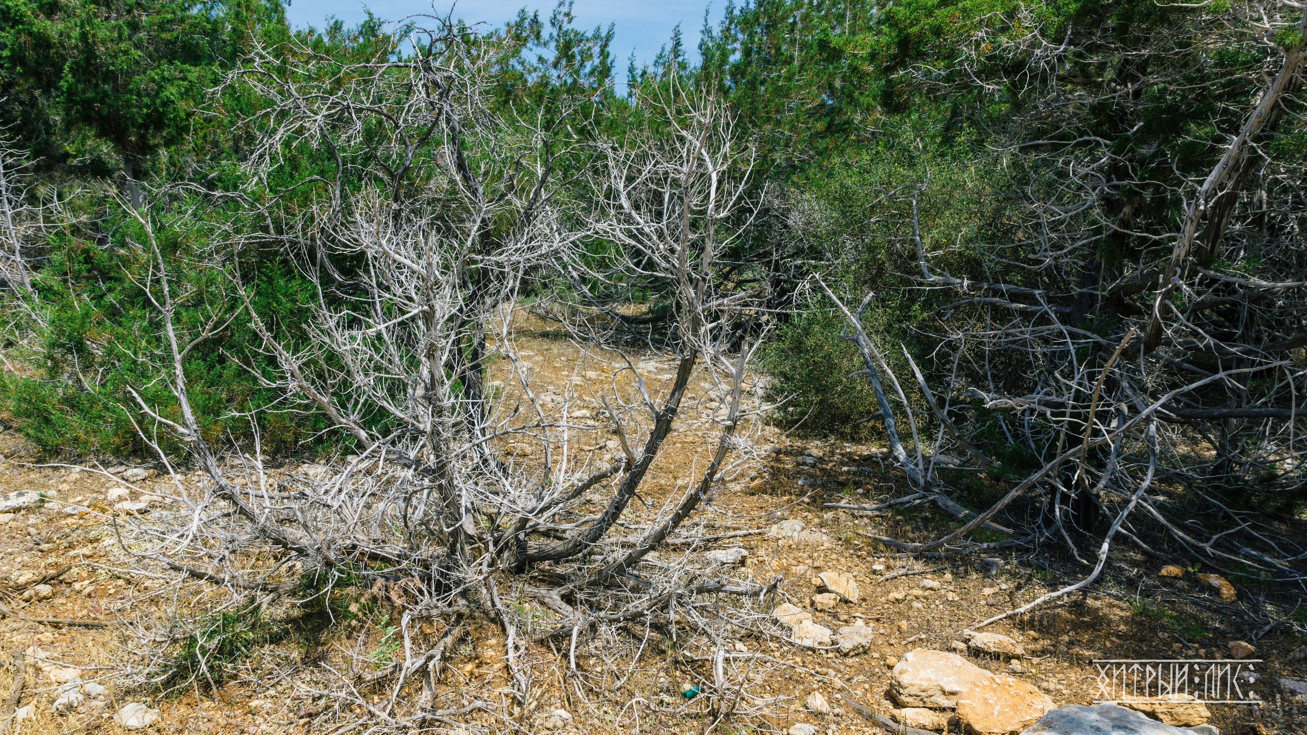 Кипр. Фотограф-путешественник Самойлов Максим «Sly Fox»