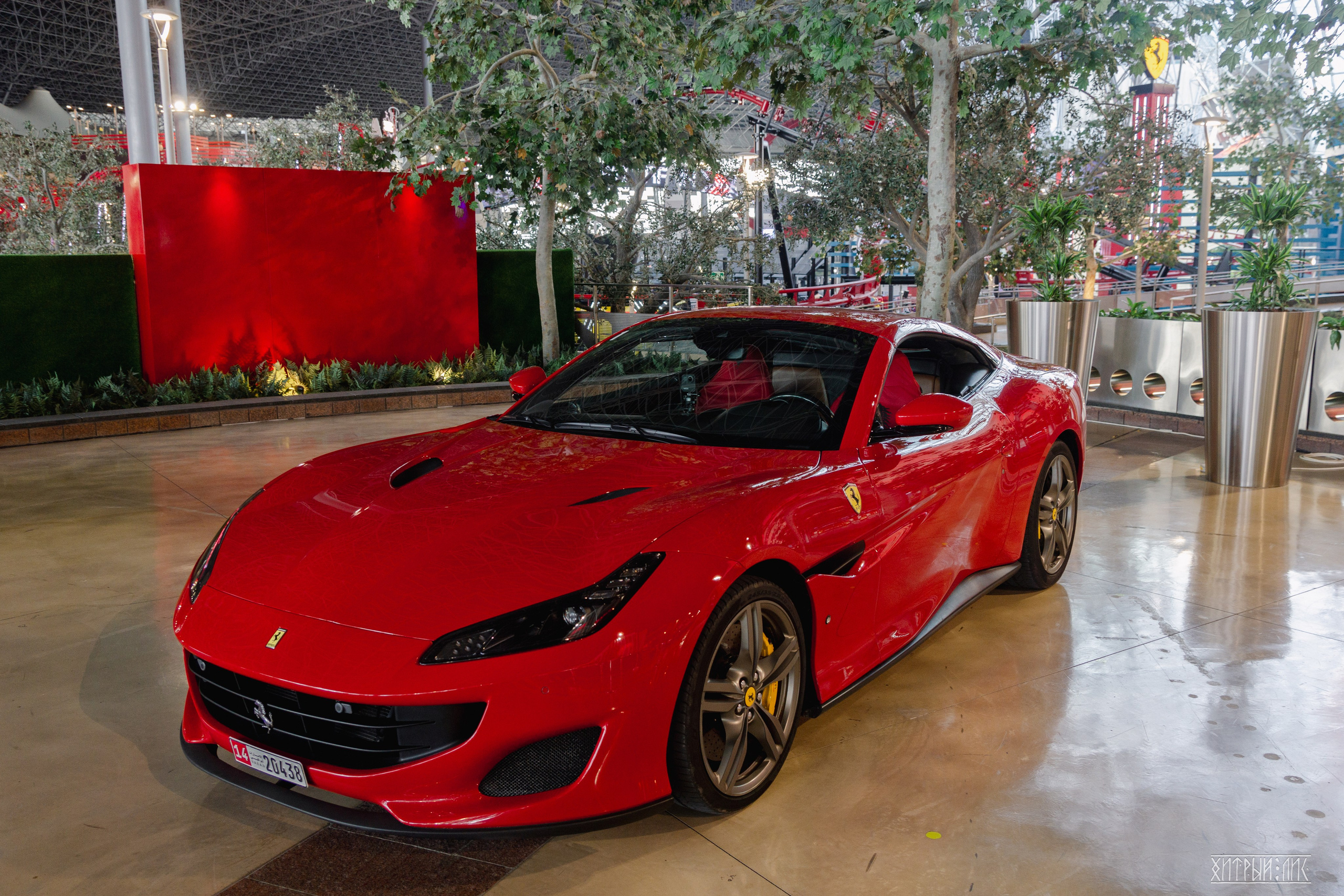 ОАЭ. Фотограф-путешественник Самойлов Максим «Sly Fox»