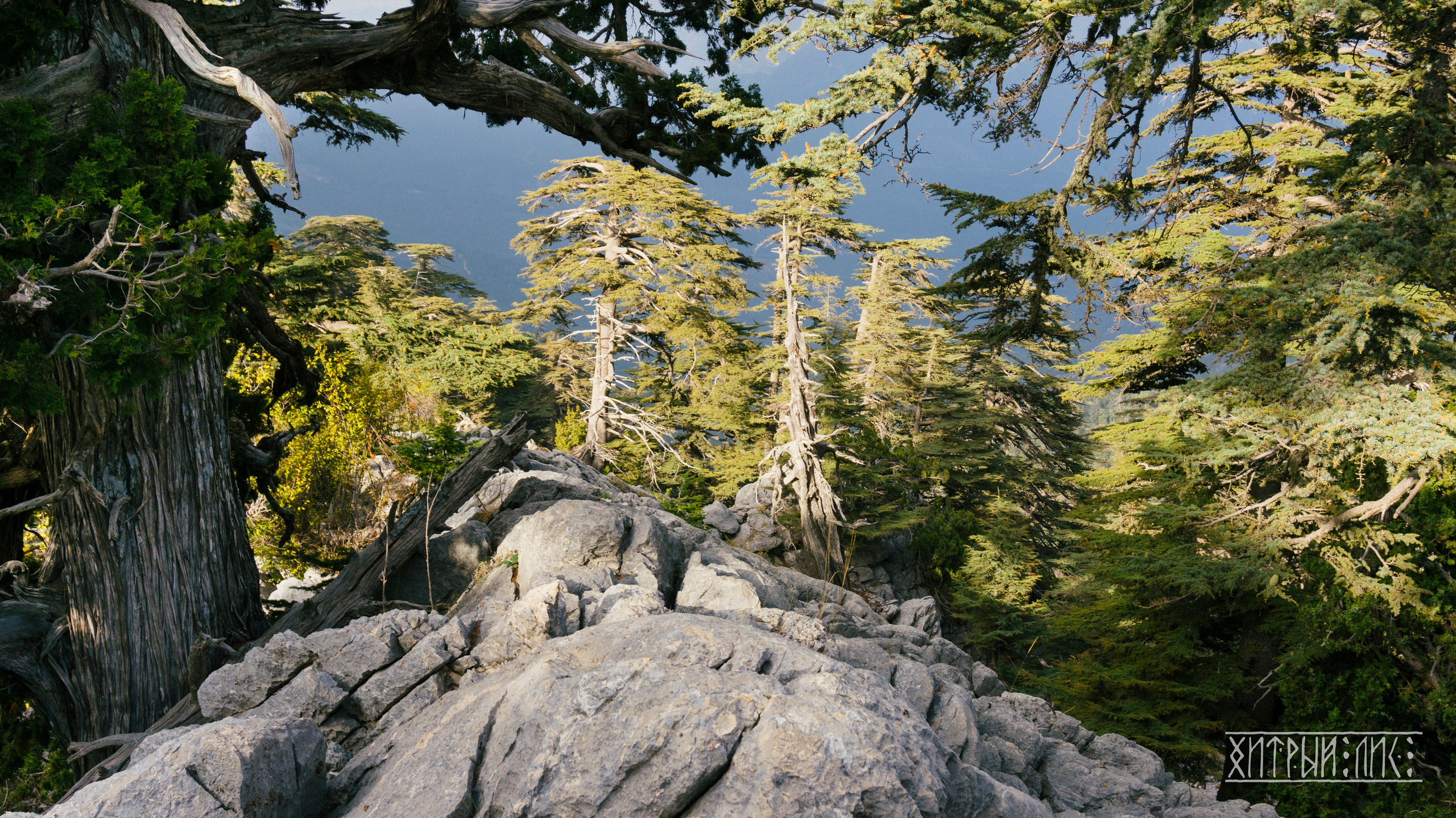 Турция. Ликийский путь. Фотограф-путешественник Самойлов Максим «Sly Fox»