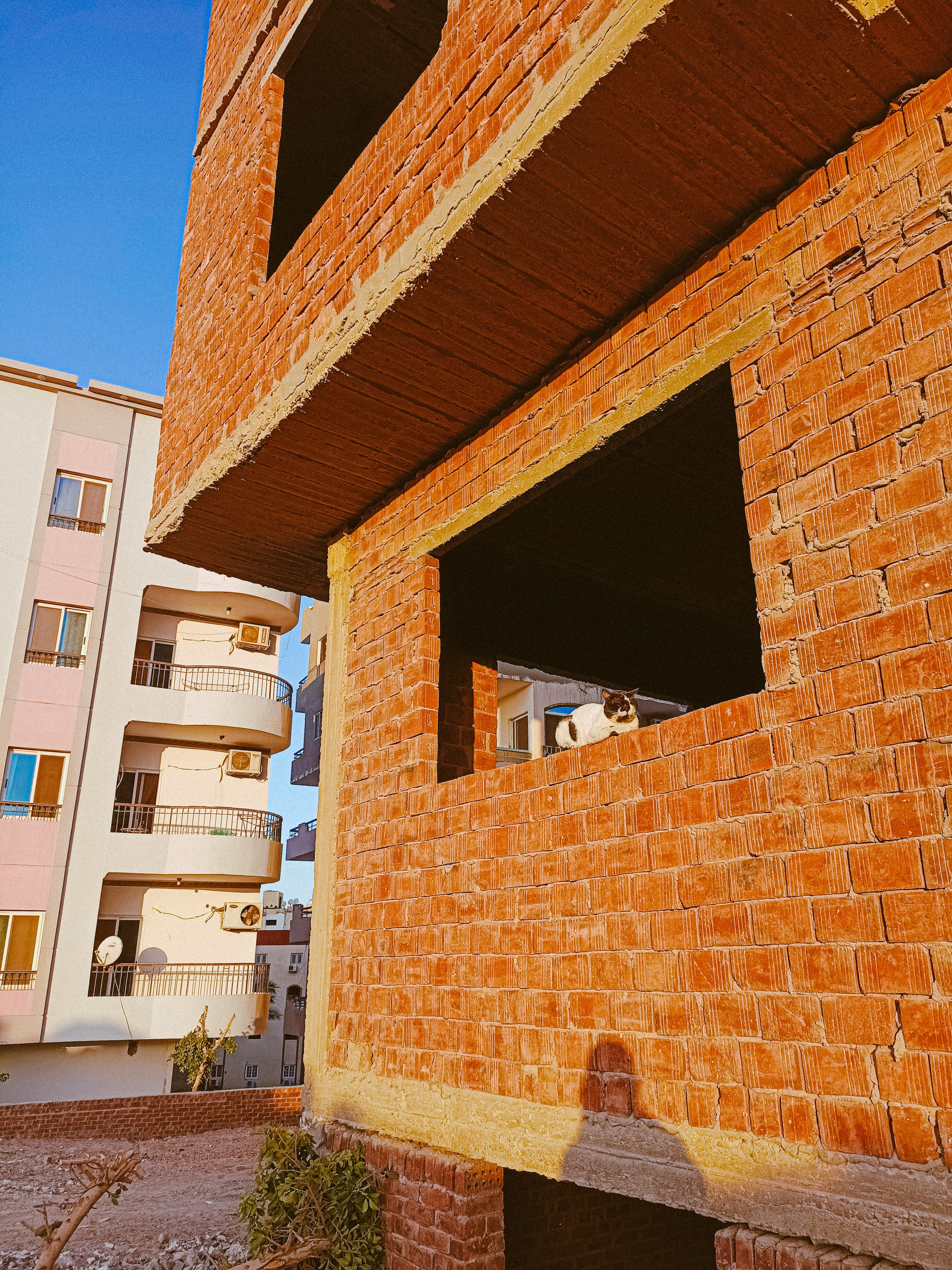 Мобильная. Jorgis — фотограф в Хургаде / обучение фотографии