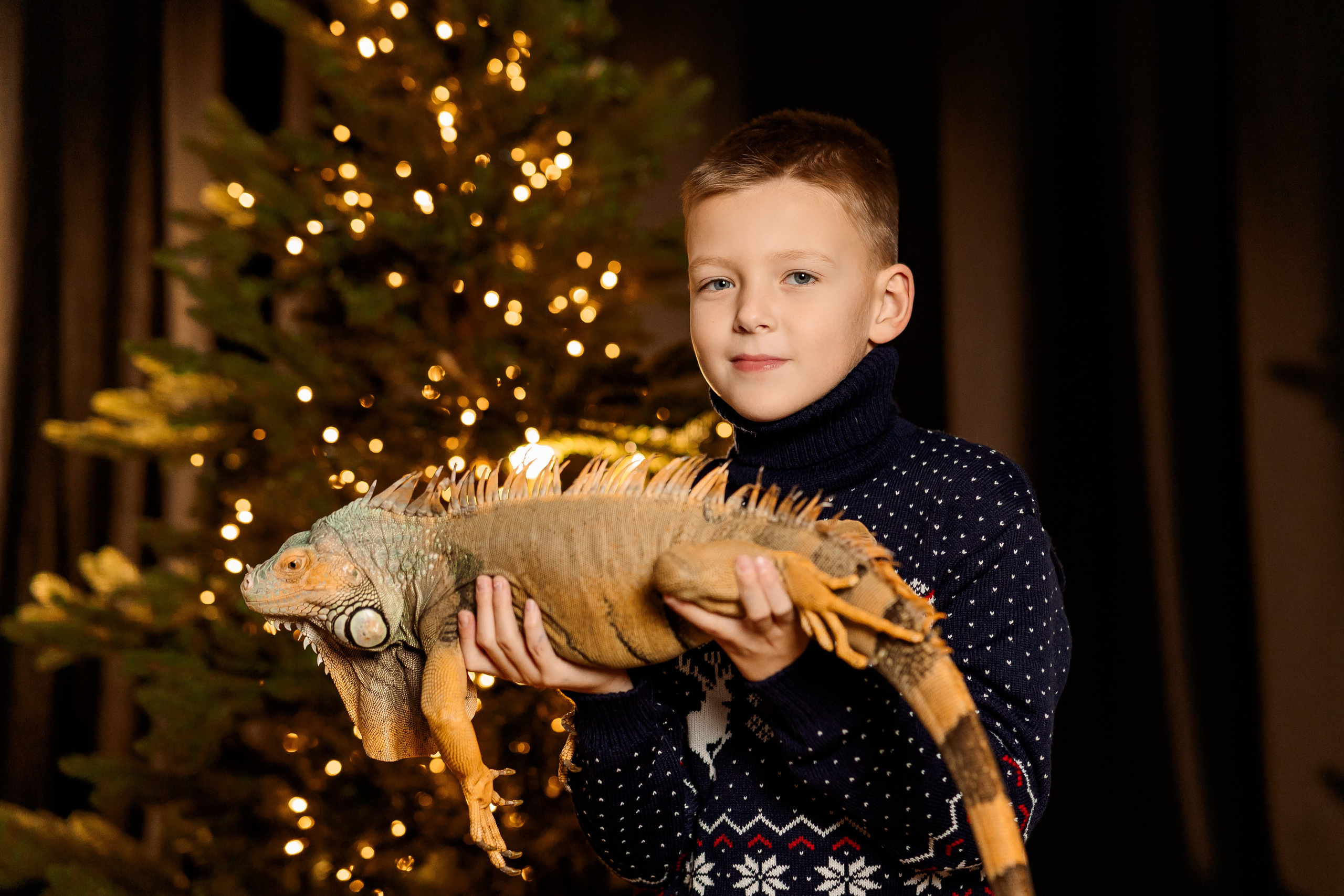 фотосессия с ягуаной