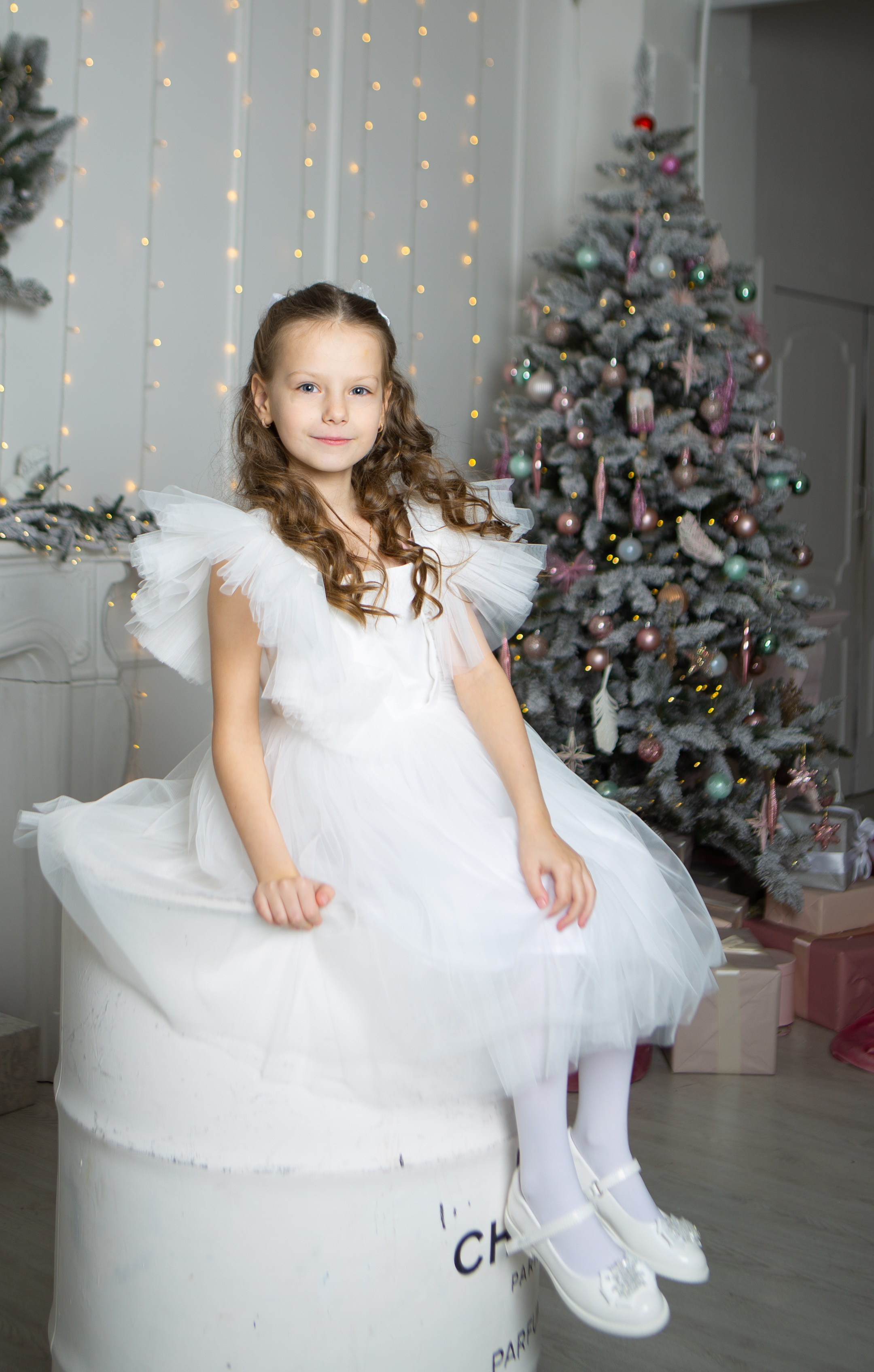 Декабрь 2023. Фотограф Тверь|Москва|Волоколамск| Отт Кристина