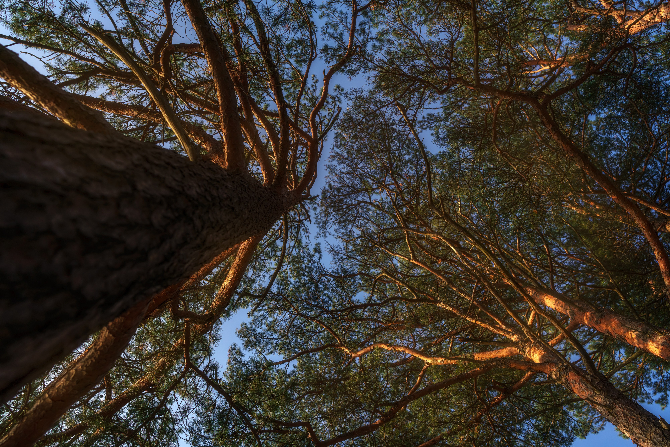 Весеннее Приморье. Май