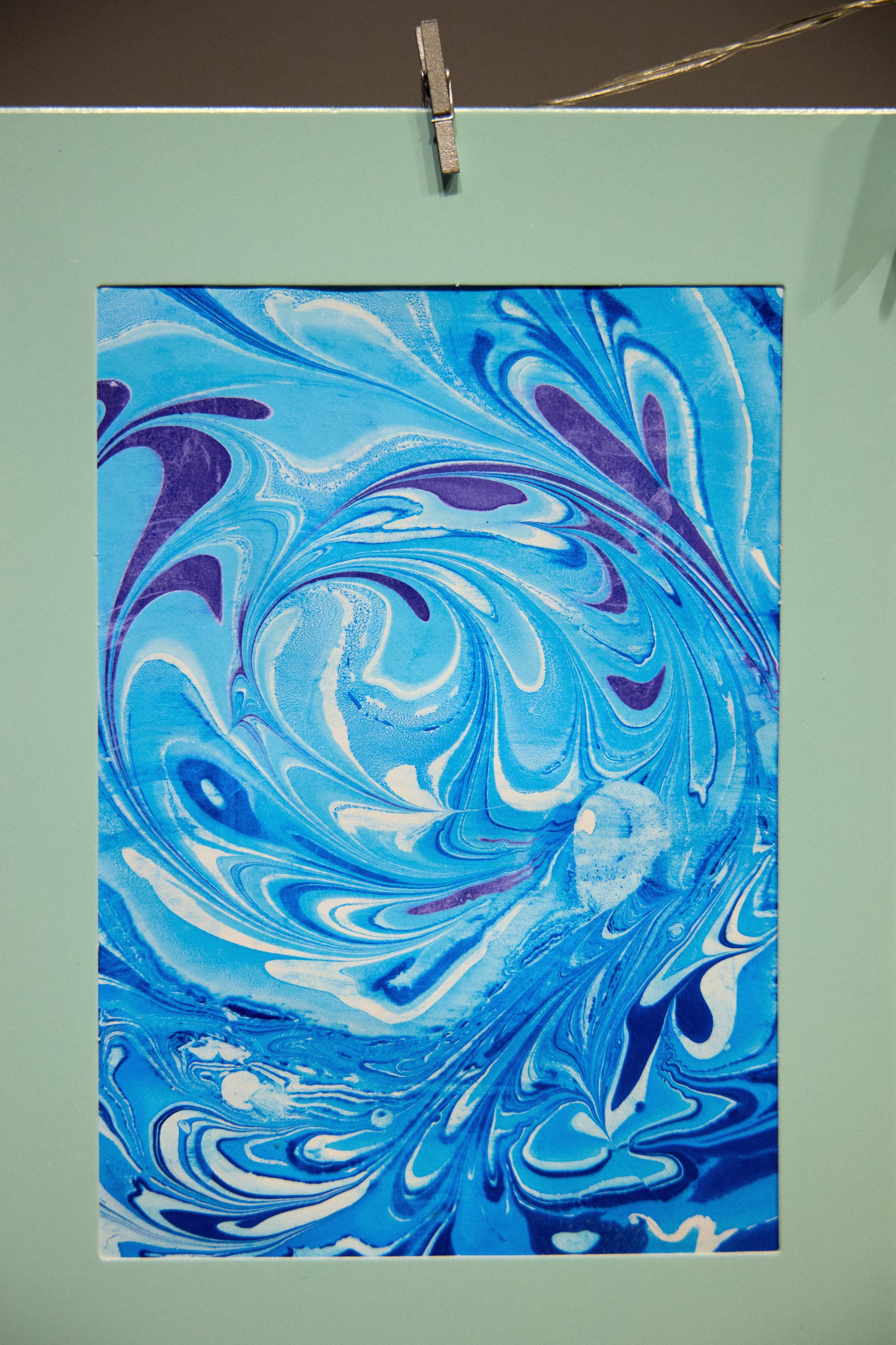 КОЧКА. Фотограф Айвазова Наталья Краснодар