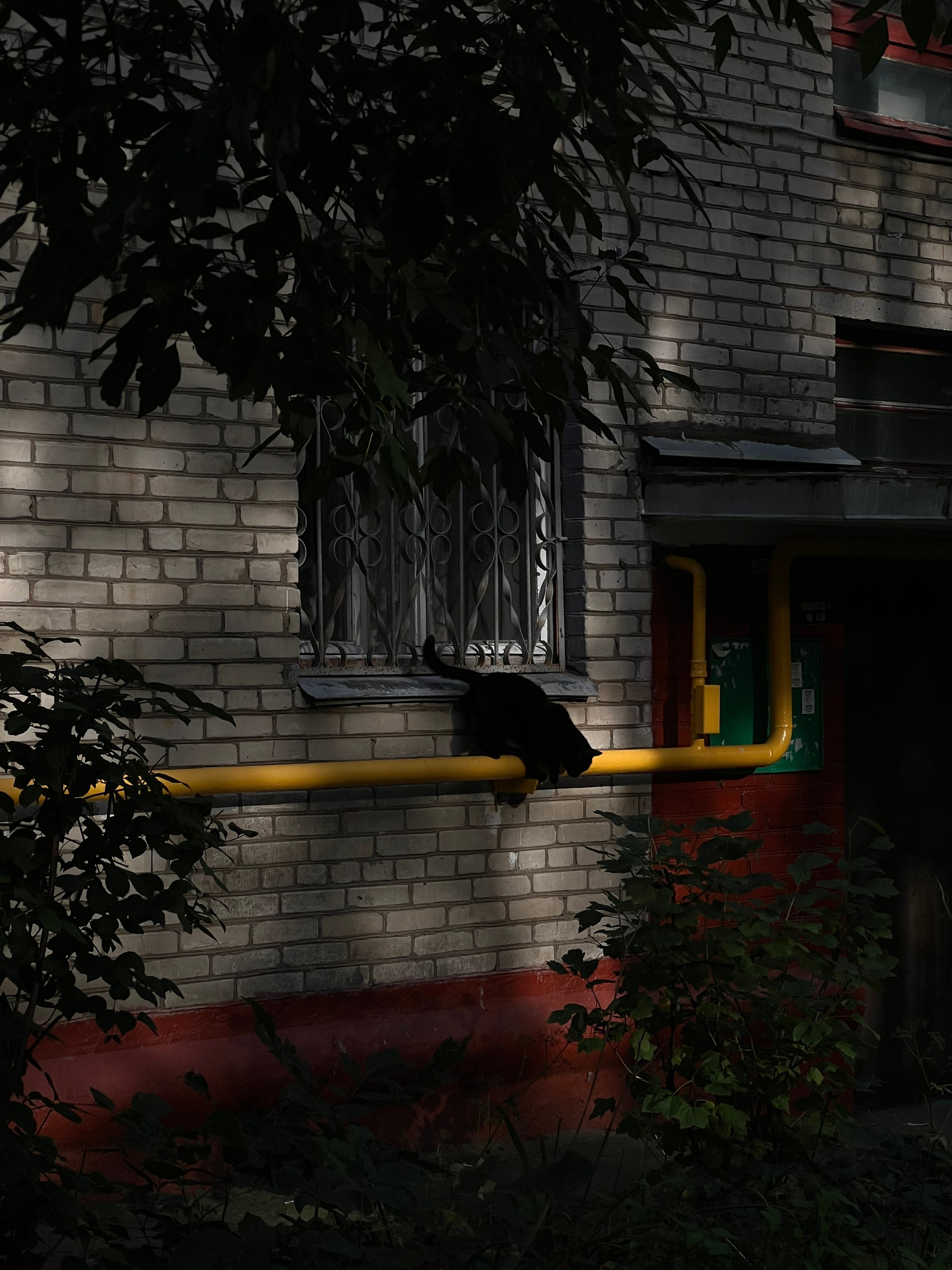 Fragments. Artem Khusainov