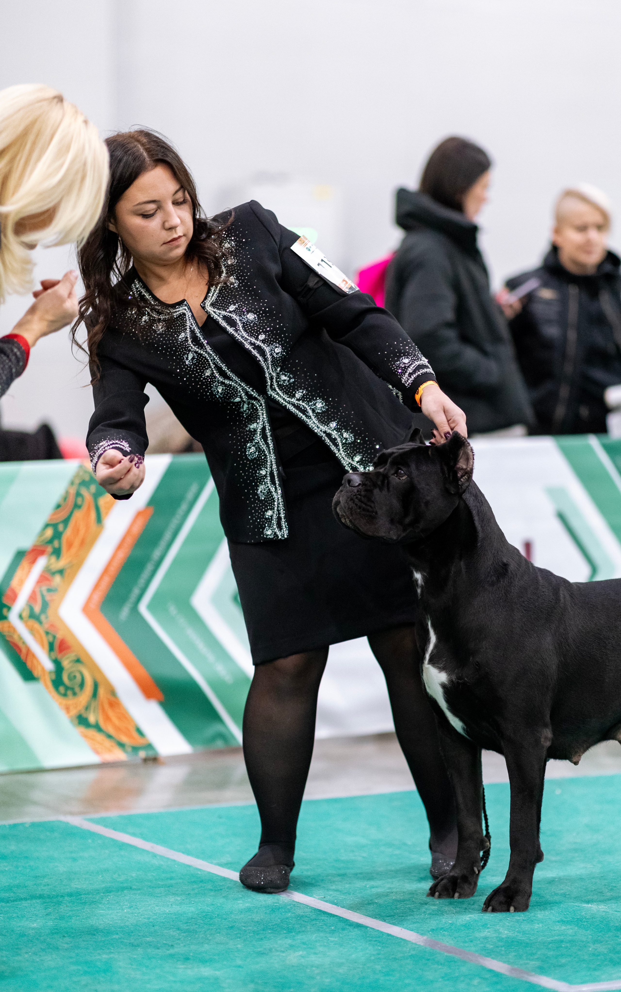 Евразия. Фотограф — анималист Татьяна Ли