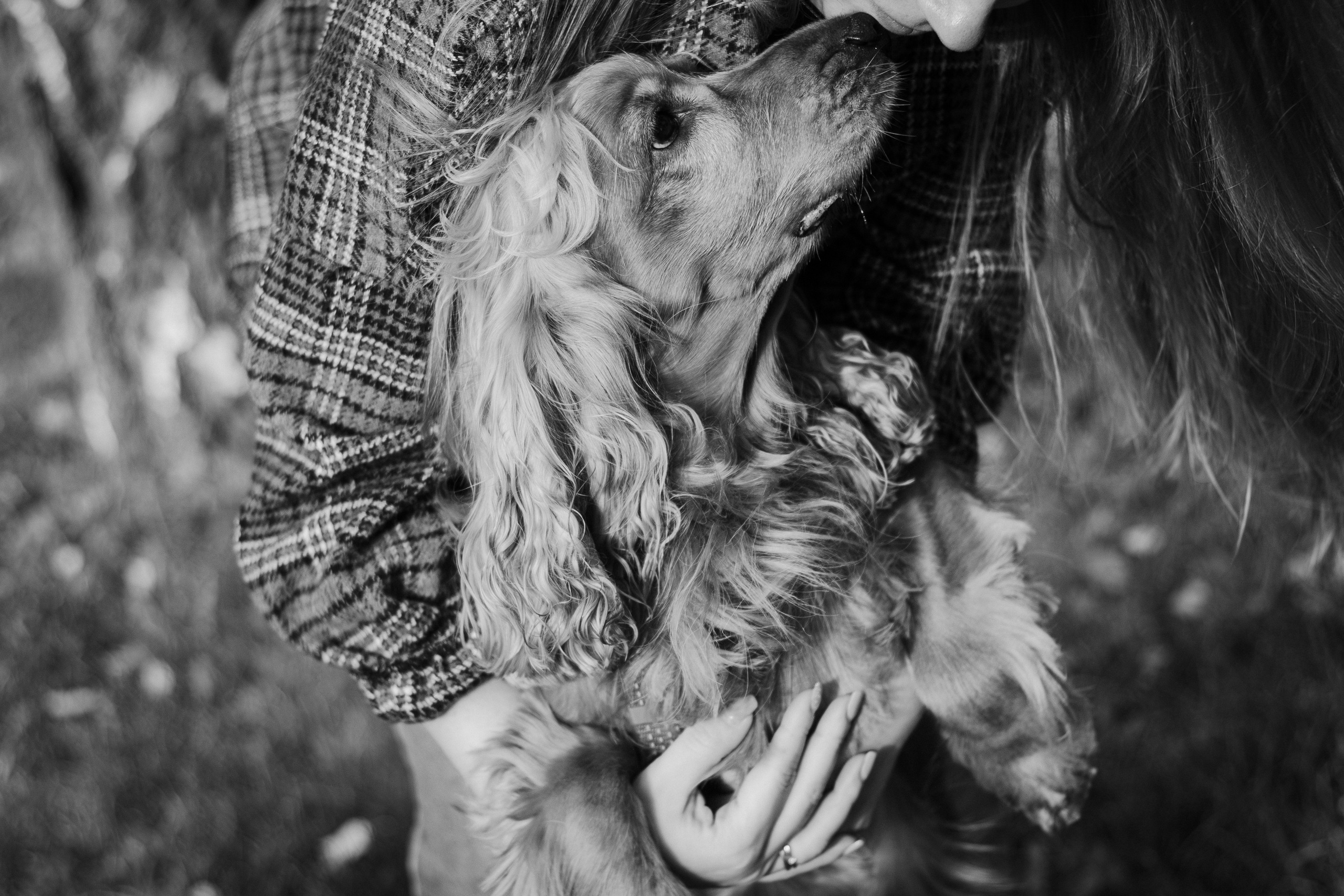 Арина, Паша и Арчер. Фотограф-анималист Мария Баркевич | Москва