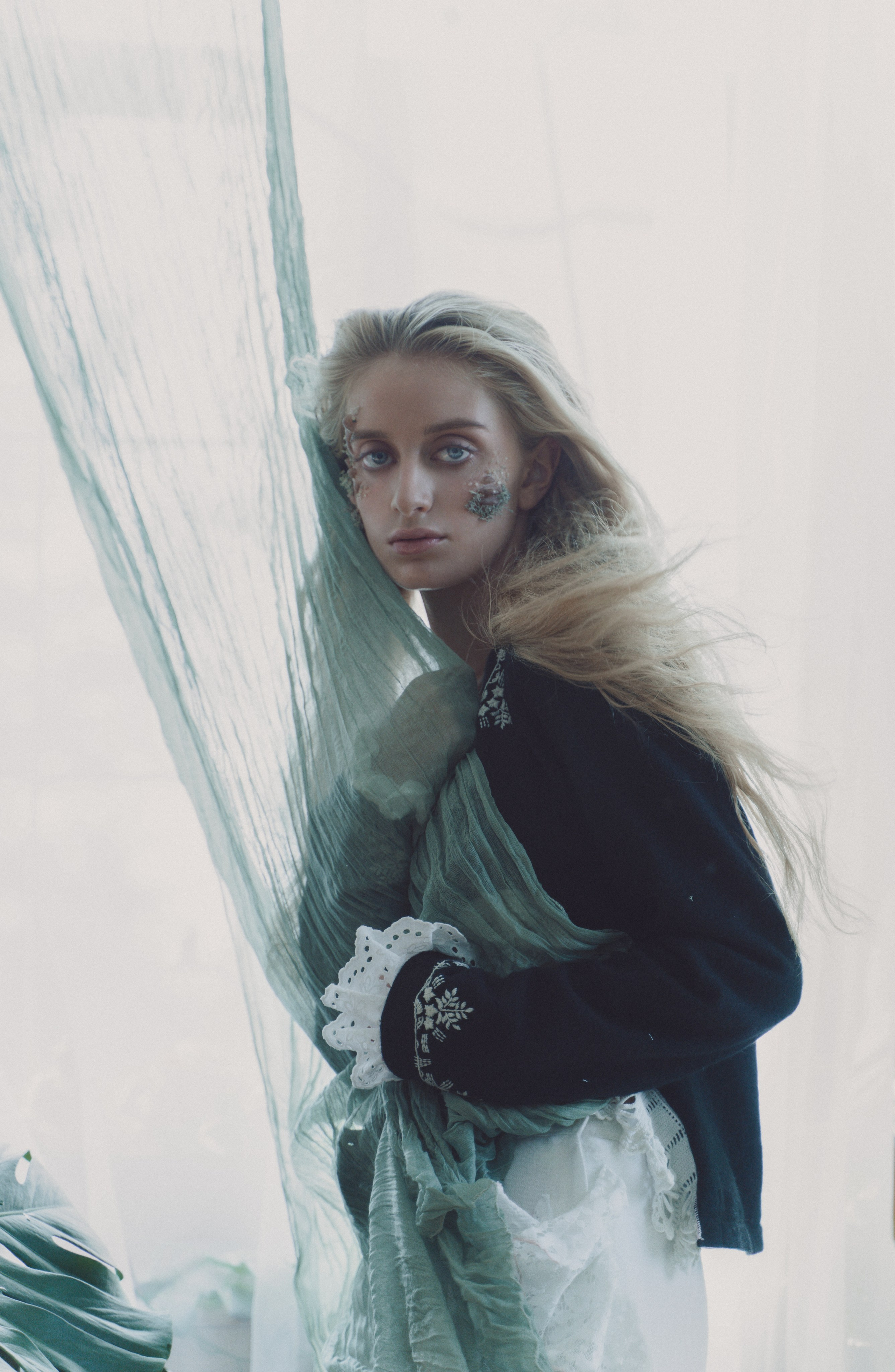 Грибы. Фотограф Anita Mivchas