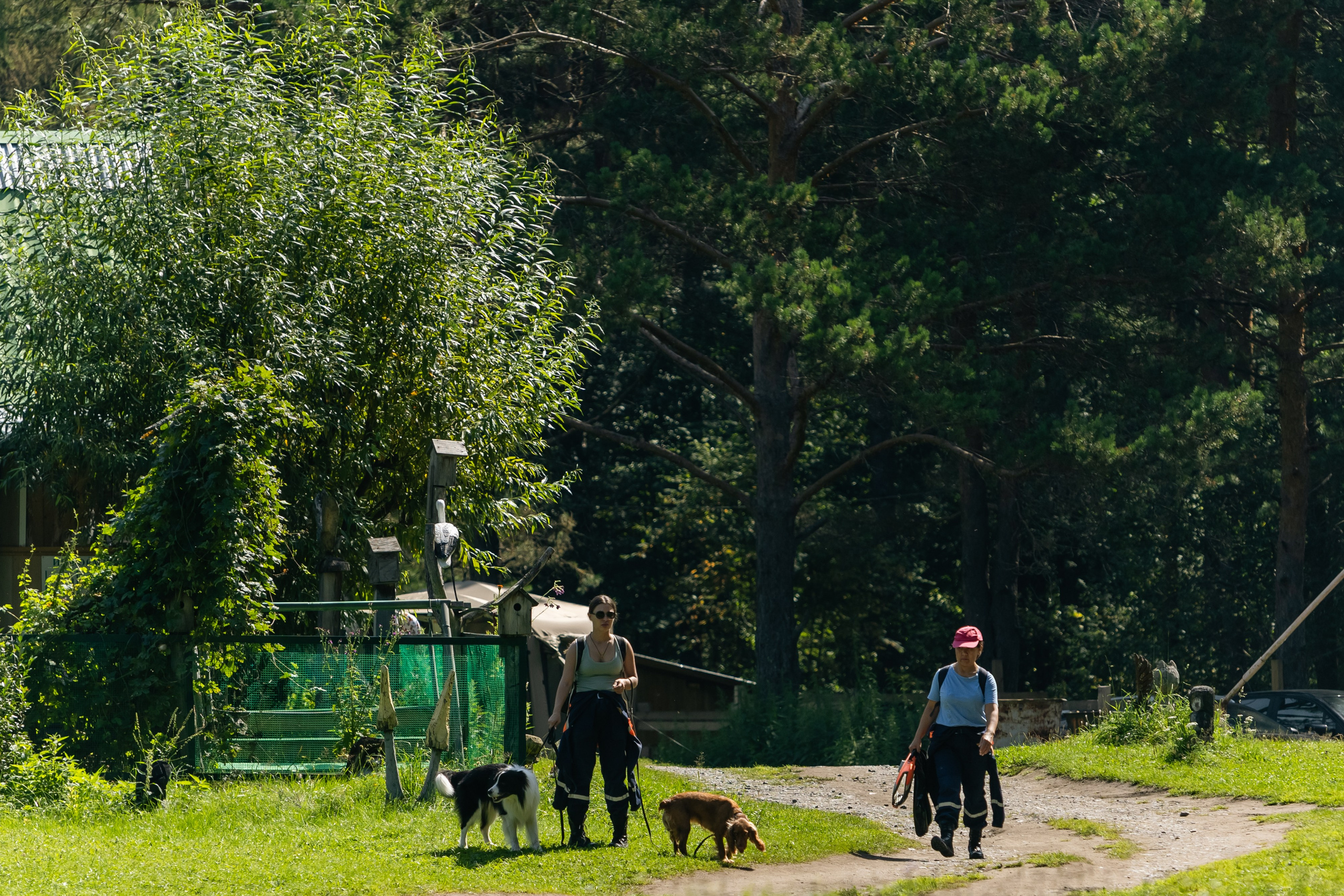 VI ОТКРЫТЫЕ КИНОЛОГИЧЕСКИЕ СОРЕВНОВАНИЯ. ЧЕЛЯБИНСКАЯ ОБЛАСТЬ 2025. Репортажный фотограф Наталья Лапцевич