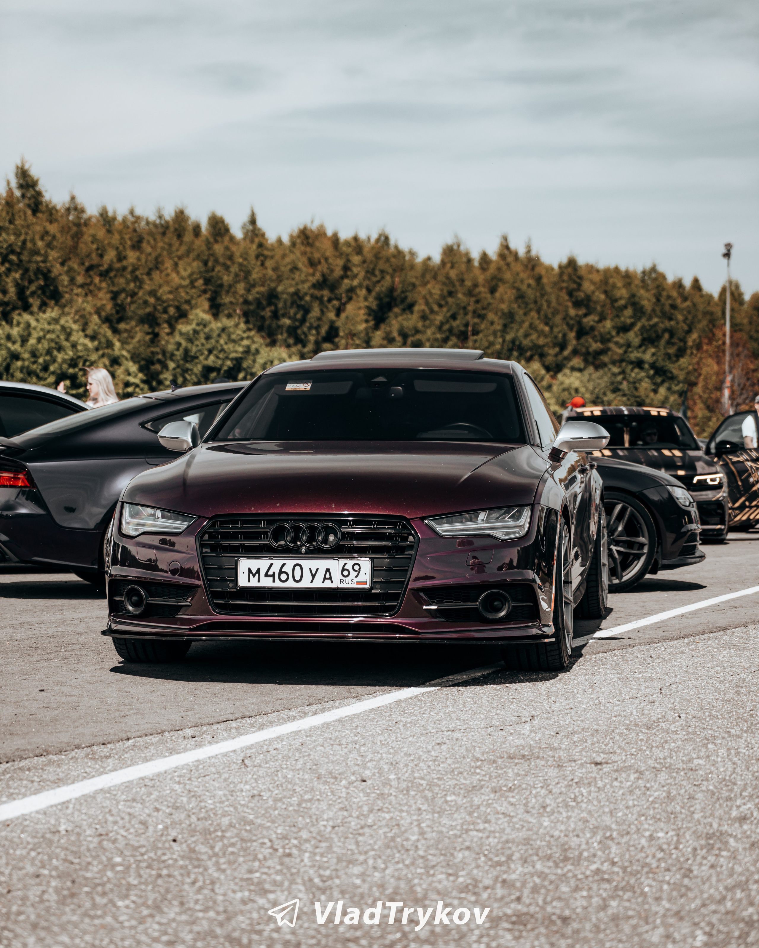 Vagburg. Vlad Trykov