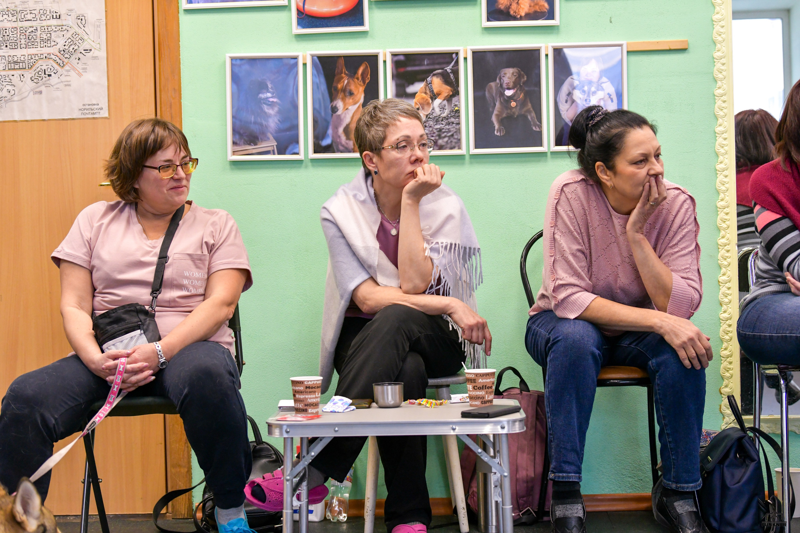 Кинологический клуб «Бодрый хвост». Свой взгляд через объектив