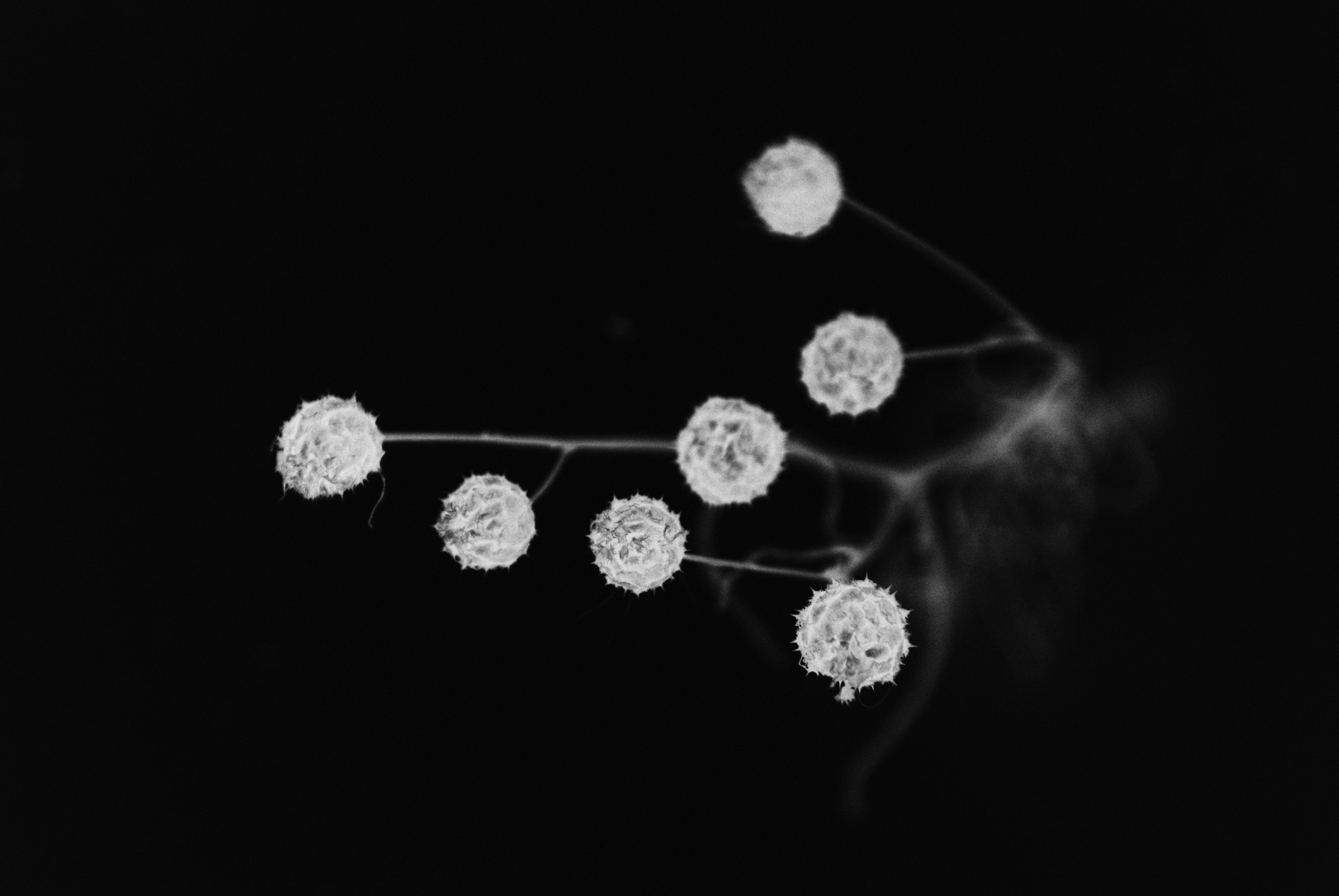 Внутривенные сны (2018-2023)